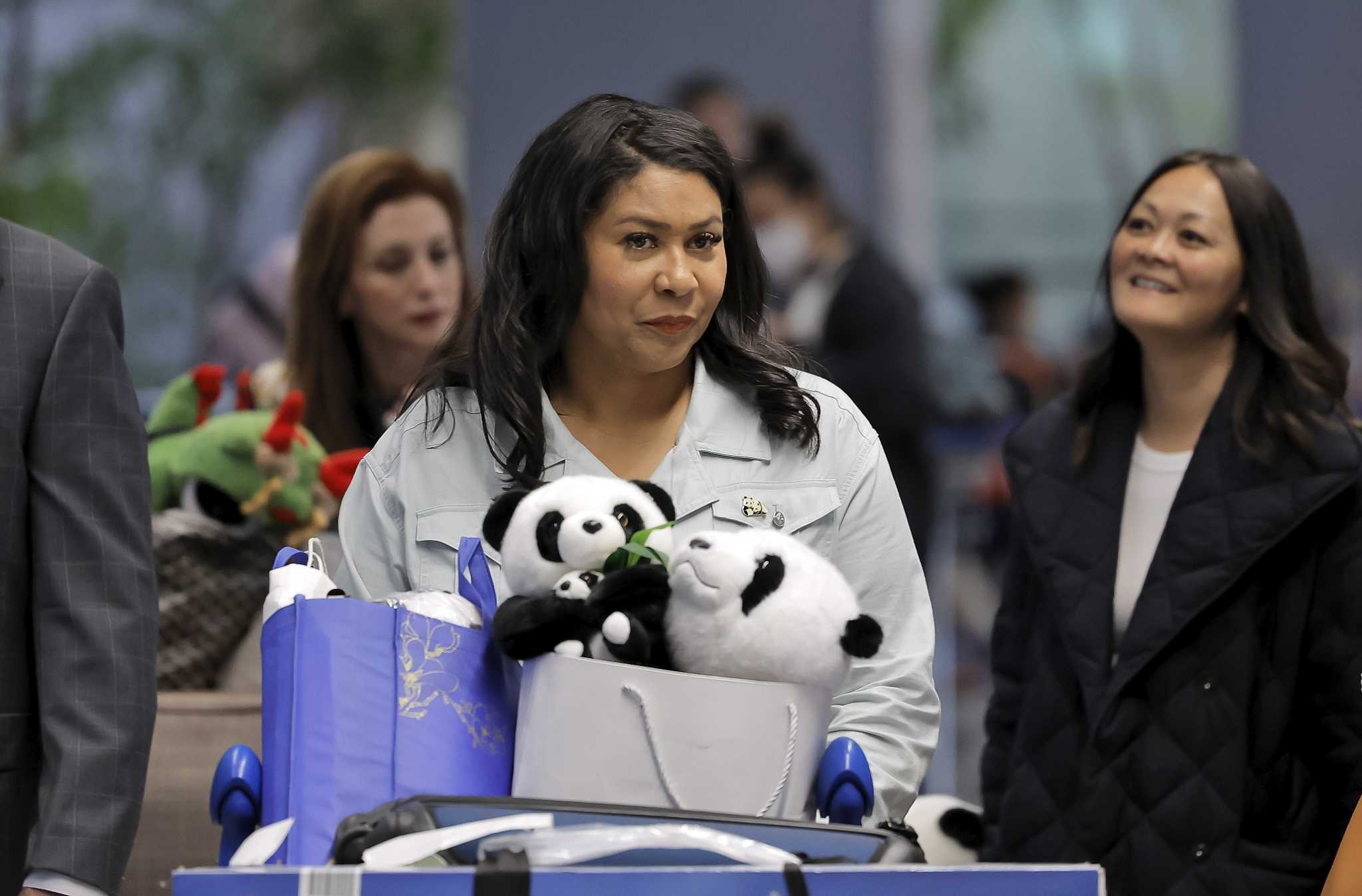 San Francisco Zoo is rife with problems. Pandas won’t solve them