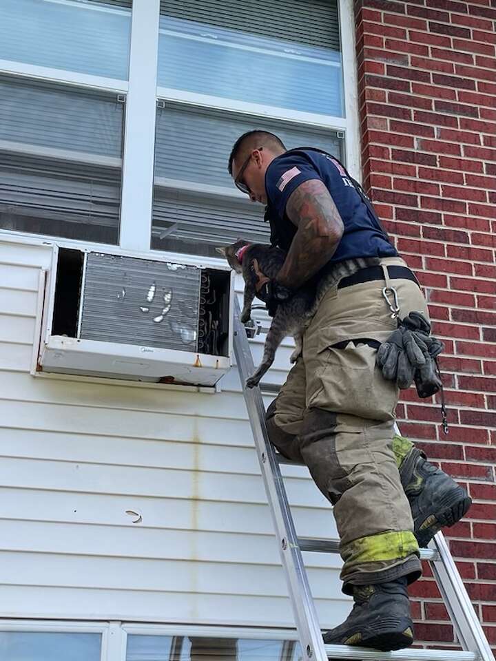 Jacksonville Fire Department rescues cat from AC unit