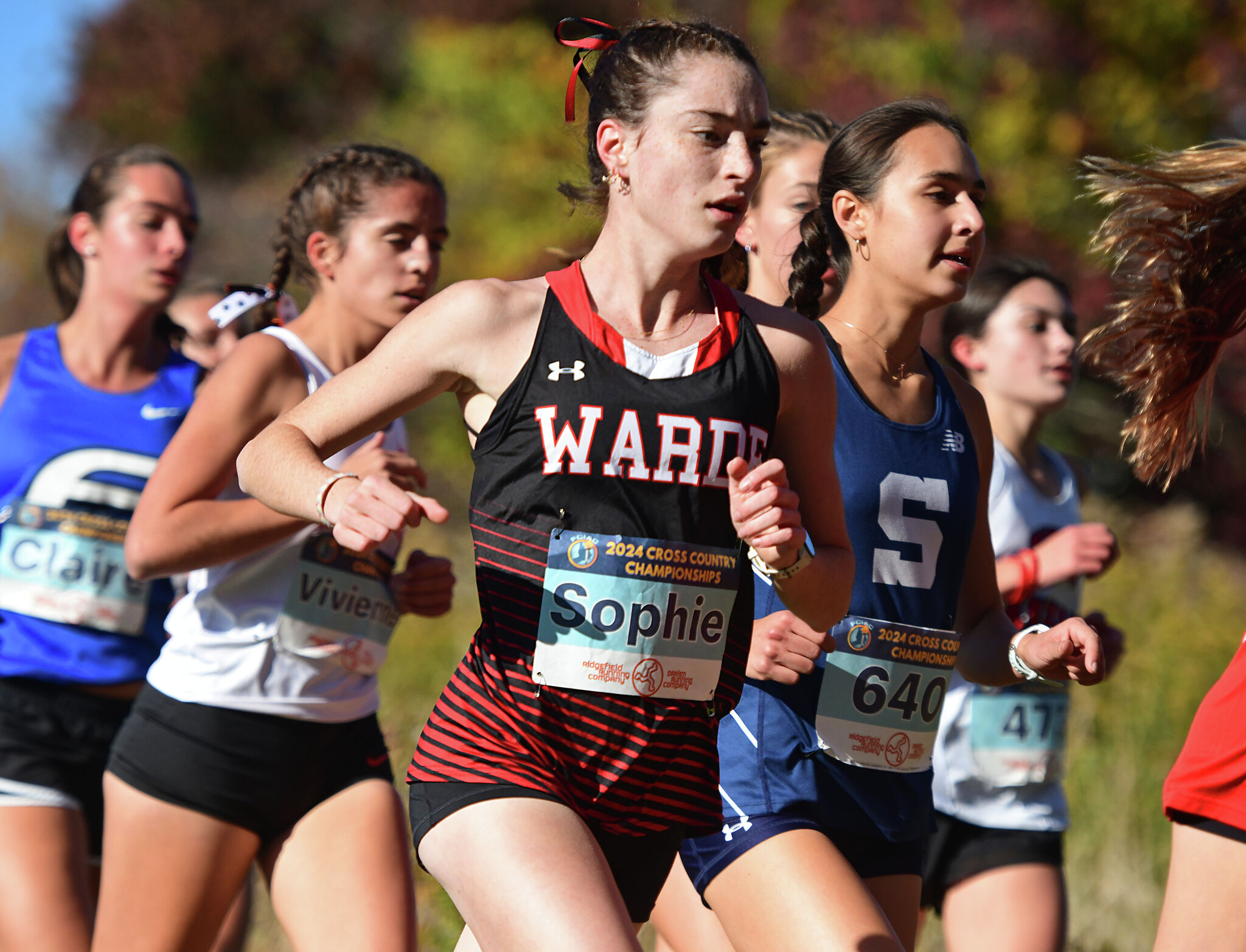 FCIAC cross country champs, Ridgefield boys, Greenwich girls, repeat