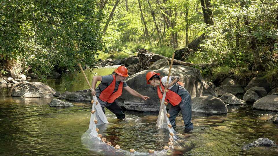 Darren Ward, a fisheries science professor at Cal Poly, left, and Olivia Boeberitz, a masters student at the university, collect samples for a long term study on the impact of reintroducing salmon to Jenny Creek, as work continues on the removal of the Iron Gate and Copco Dams on the Klamath River near Hornbook, Calif., on Friday, July 26, 2024. The Klamath River will soon run in its natural state after the removal of four 100-year-old dams.