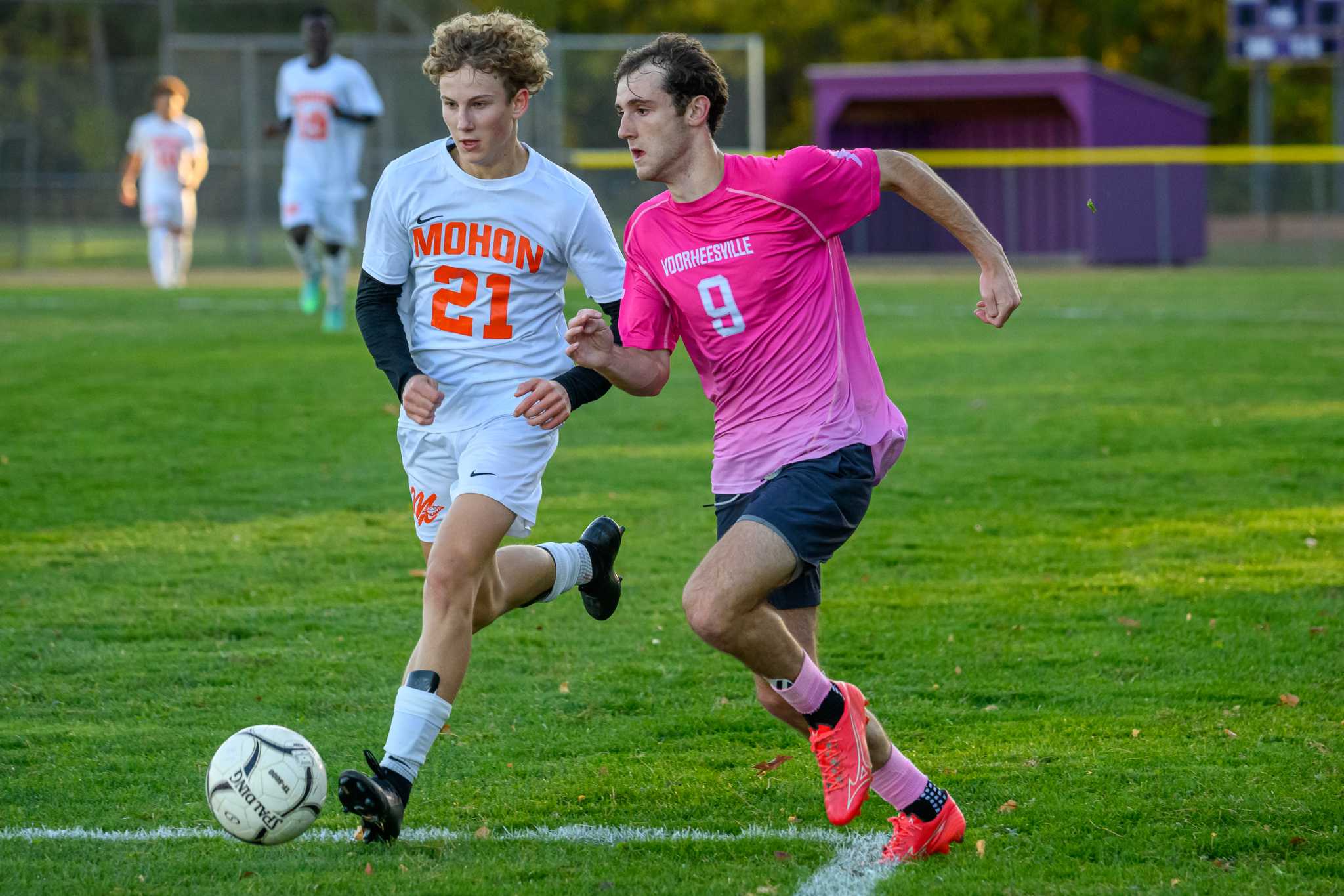 Best of Albanyarea high school sports for Oct. 2127