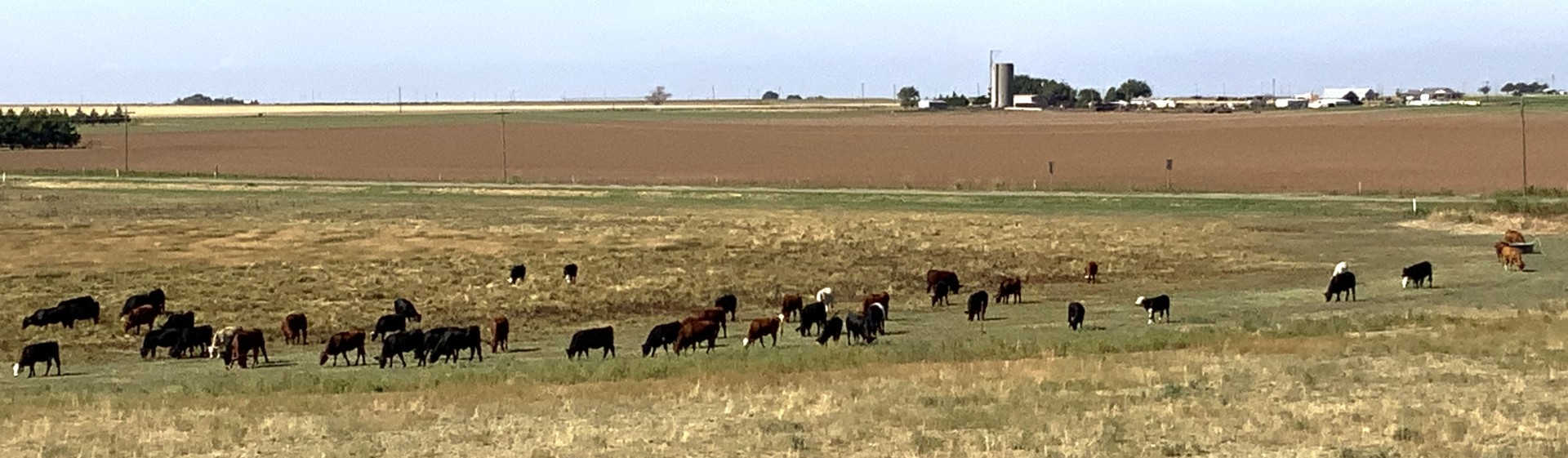 Next Ogallala Commons playa field day set for Oct. 30