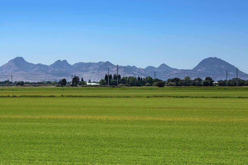 Sutter Buttes Rice Landowners shut the gates in the 1960s. Now, few see this Calif. gem.
