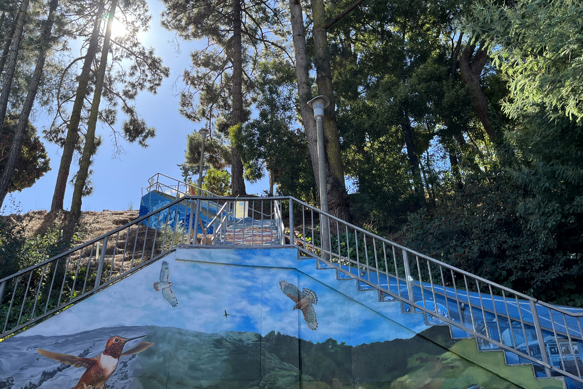 San Francisco's latest landmark is about to open