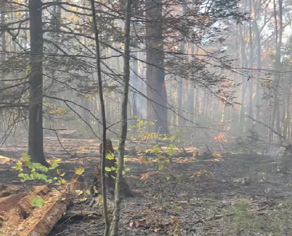 Crews battle 6-acre Burlington brush fire as dry weather raises risk