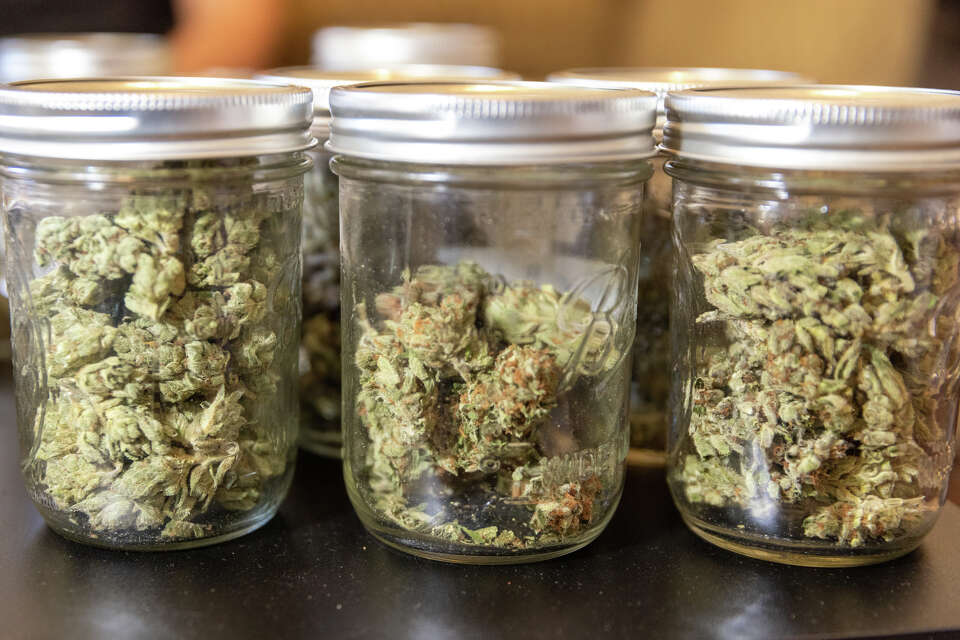 Brothers Eli and Noah Melrod have a large selection of cannabis flower samples grown by small artisanal farms on their living room coffee table in their house in San Francisco on Oct. 15, 2024.