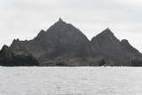 Inside the 'kill zone': A surprise encounter at SF's Farallon Islands