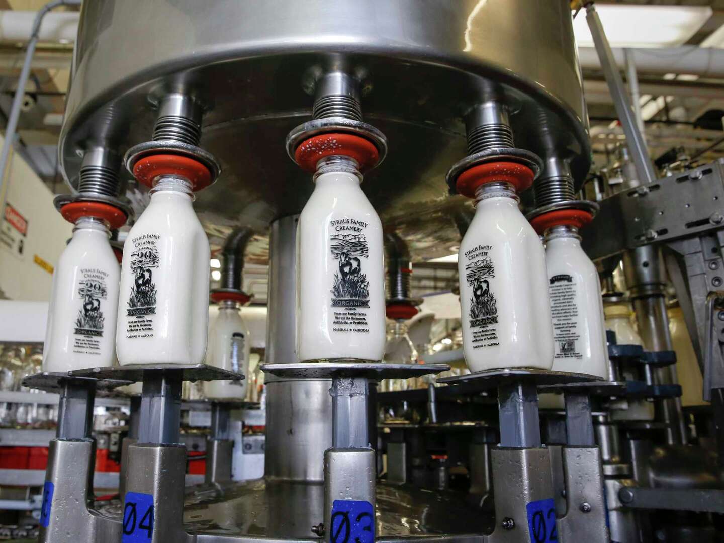 Straus Milk Near Me
    A Journey to Authentic and Sustainable Dairy Products