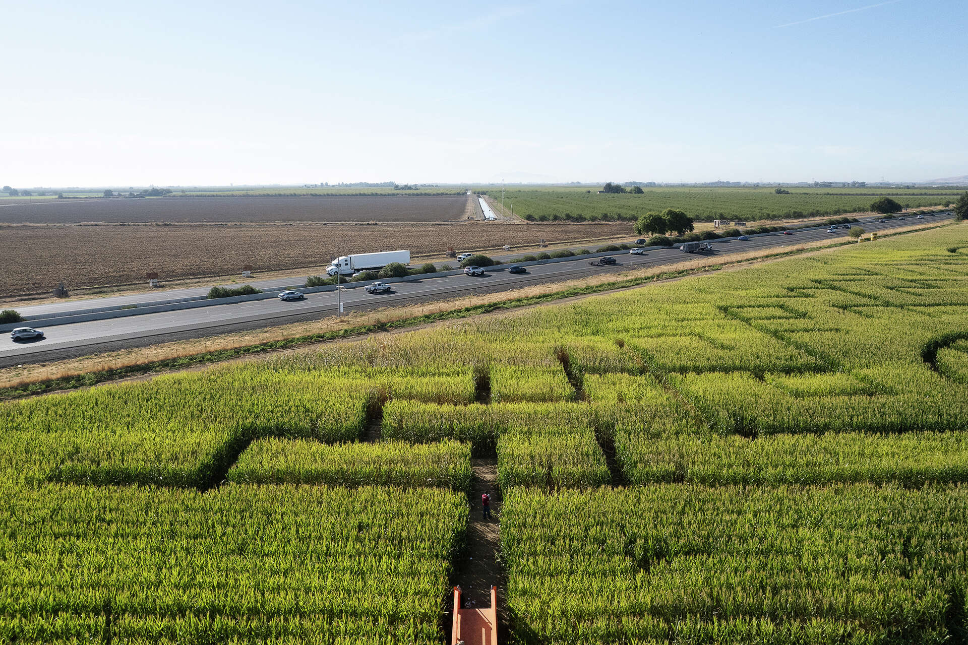 FILE: Corn maze at Cool Patch Pumpkins in Dixon Calif., Oct. 22, 2024.