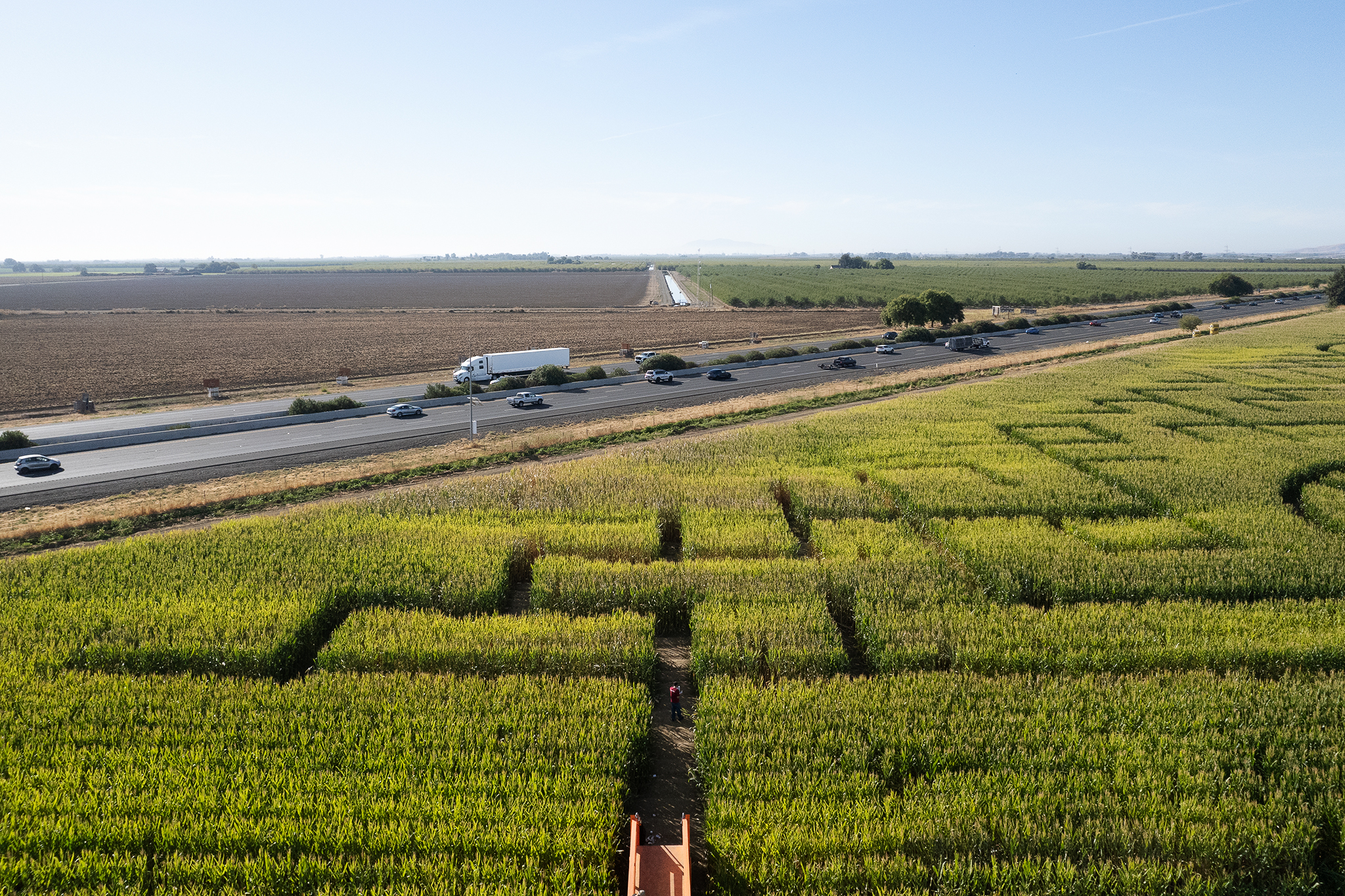 Zwei Menschen wurden im größten Maislabyrinth der Bay Area niedergestochen