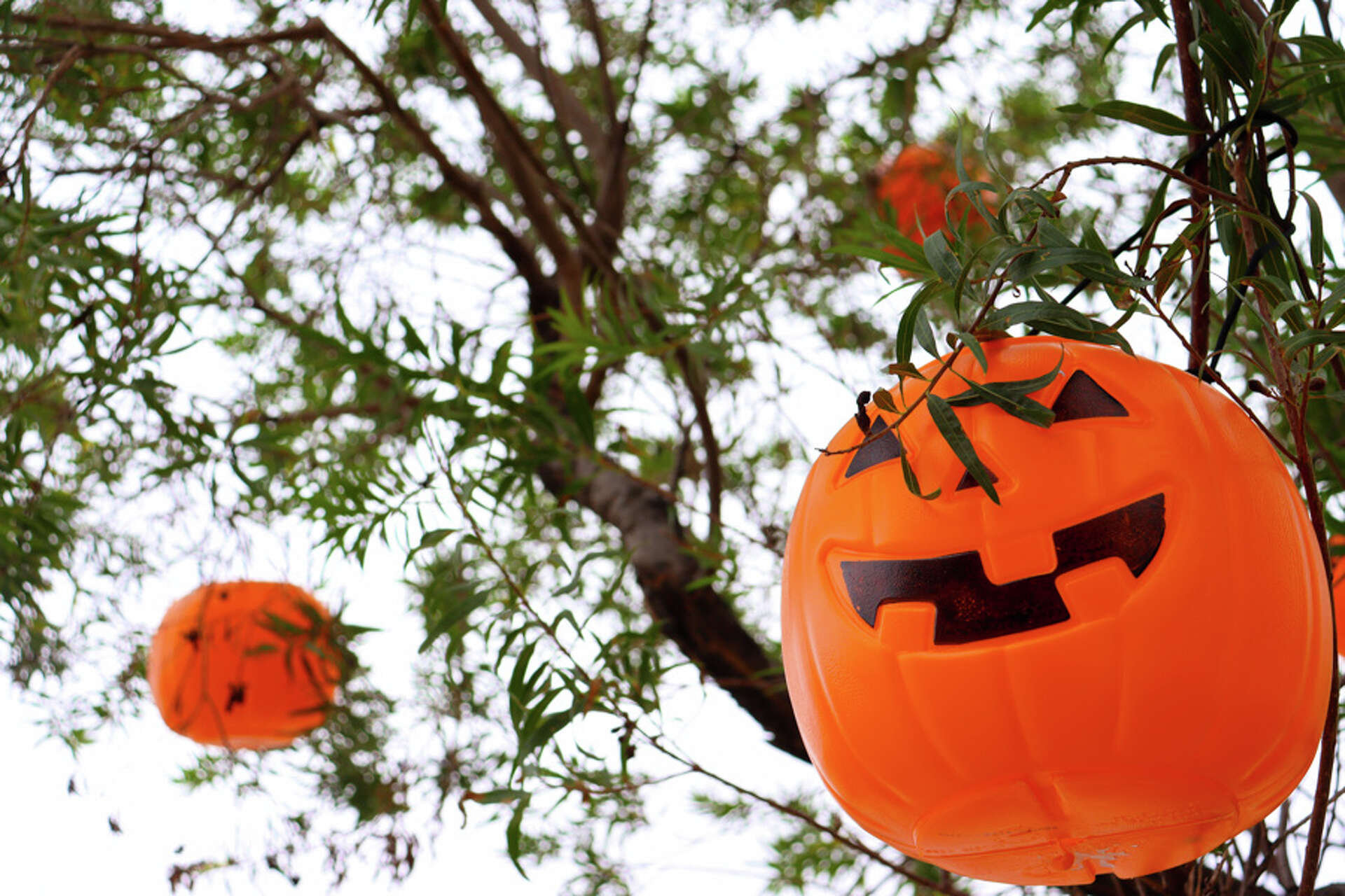 San Antonio Entertainment, Events