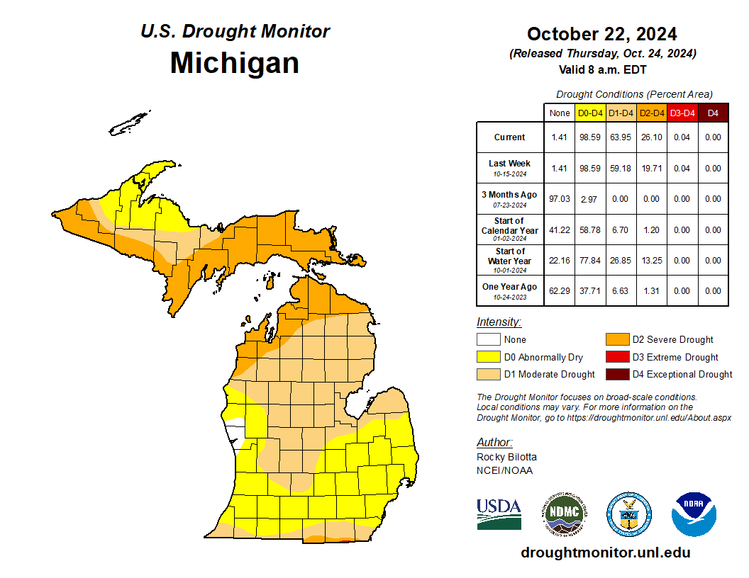 Northern Michigan drought continues, wildfires burn 200 acres