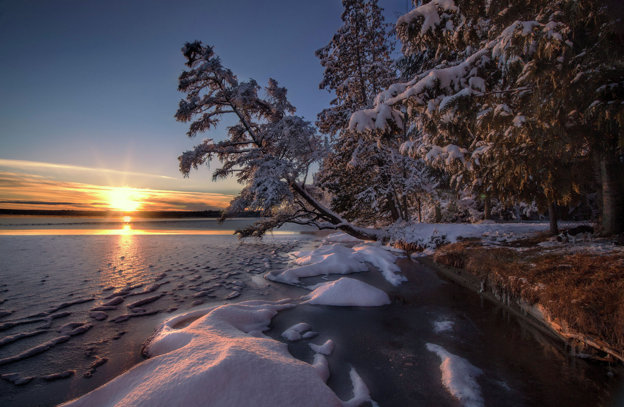 Winter 202425 forecasts varies La Niña impacts for Michigan