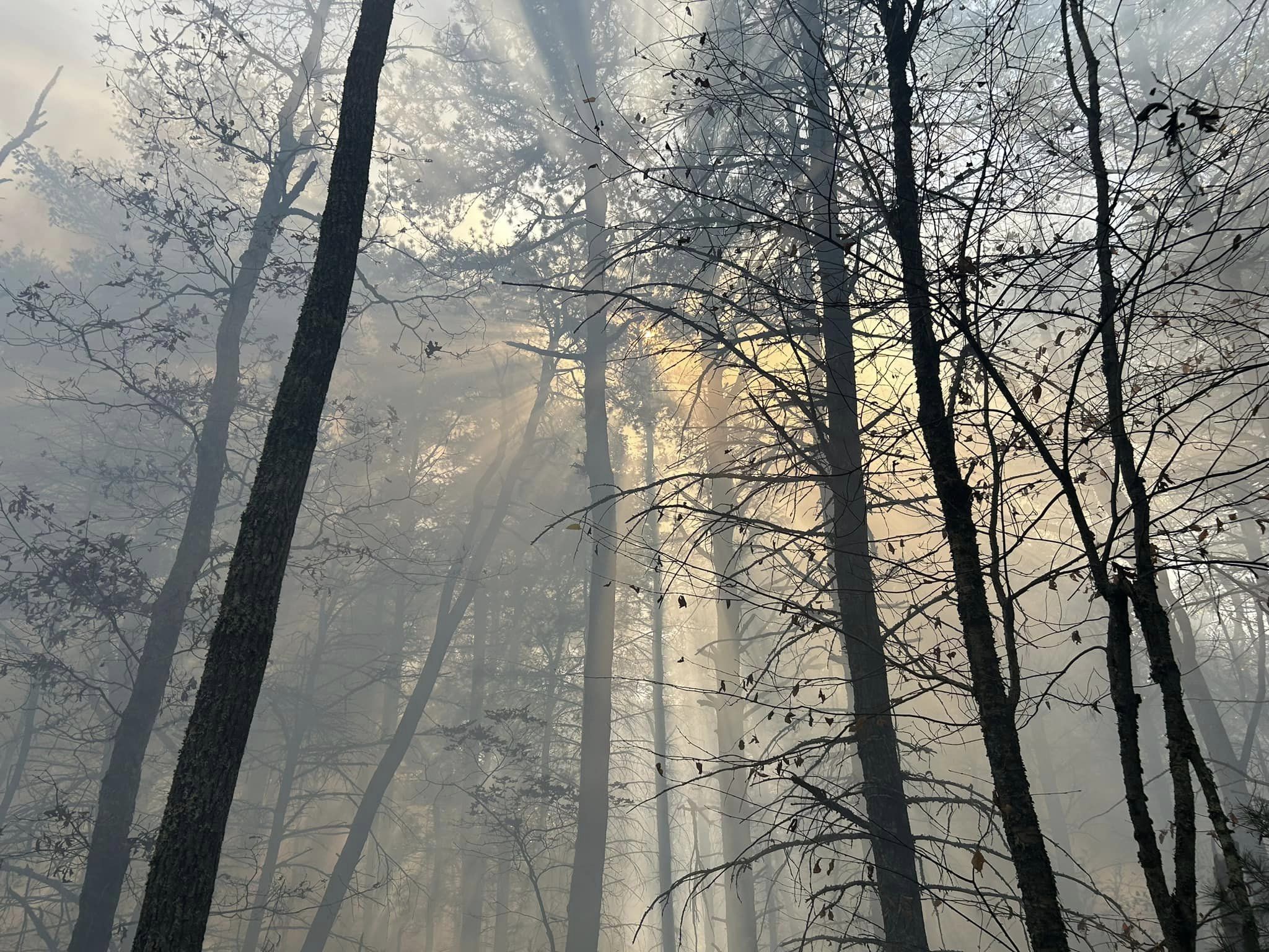 Crews in Voluntown battle 6acre brush fire, officials say