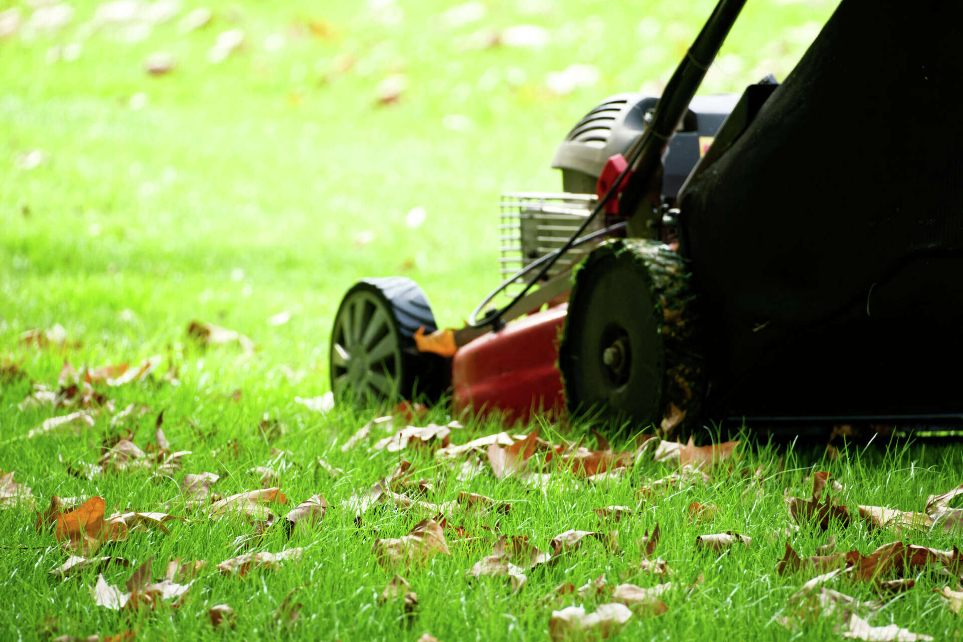 Cutting grass in winter clearance