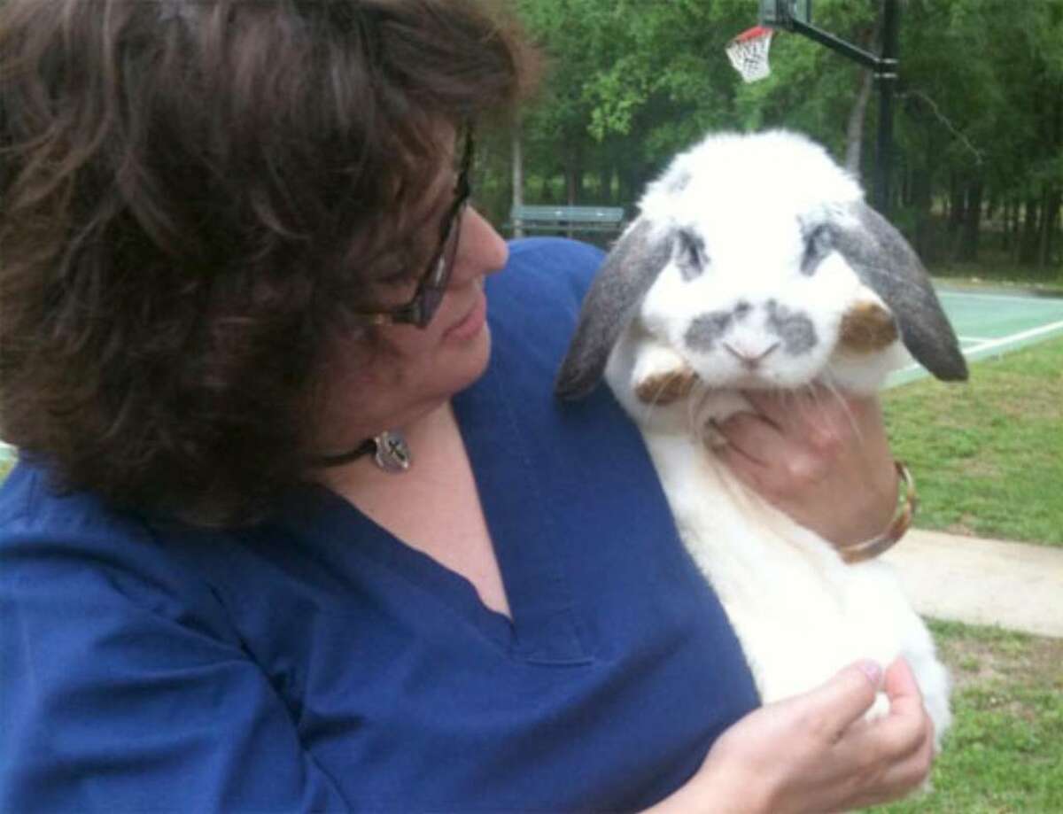 Elizabeth Franco holds Thumper, a 1-year-old lop-eared rabbit who made it safely out of a burning far North Side home Wednesday morning. Franco, a family friend, said Thumper jumped into a fireman's arms when he opened the home's back door.