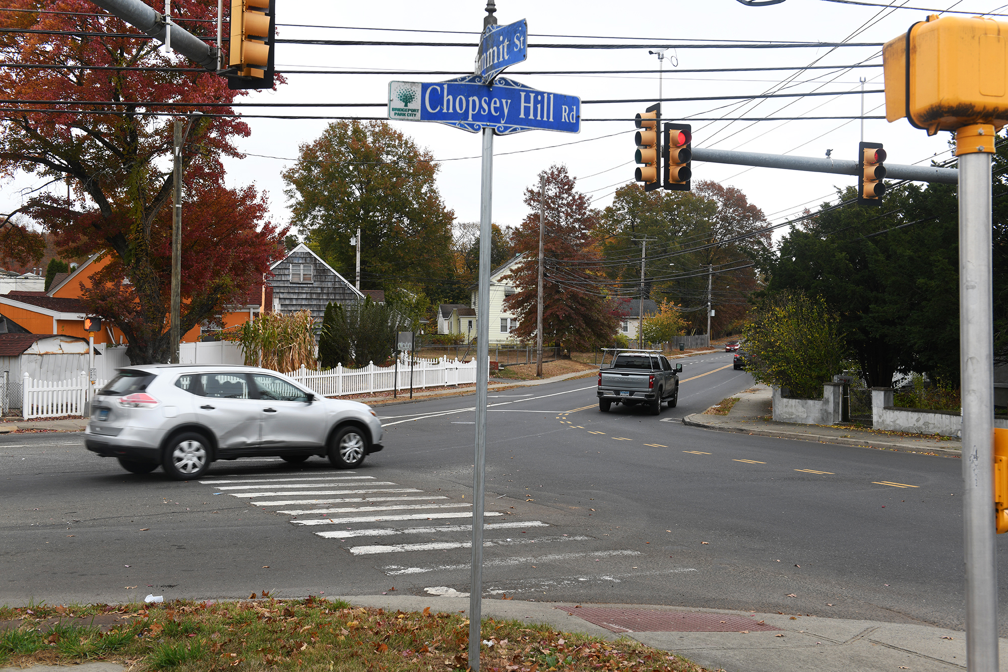 Local election results national