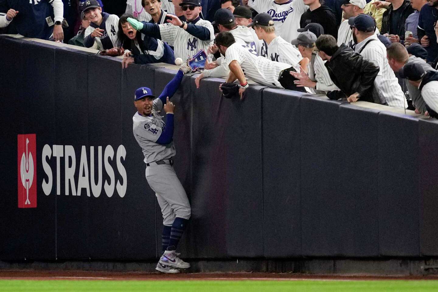 Who is Austin Capobianco? Yankees fan in World Series controversy