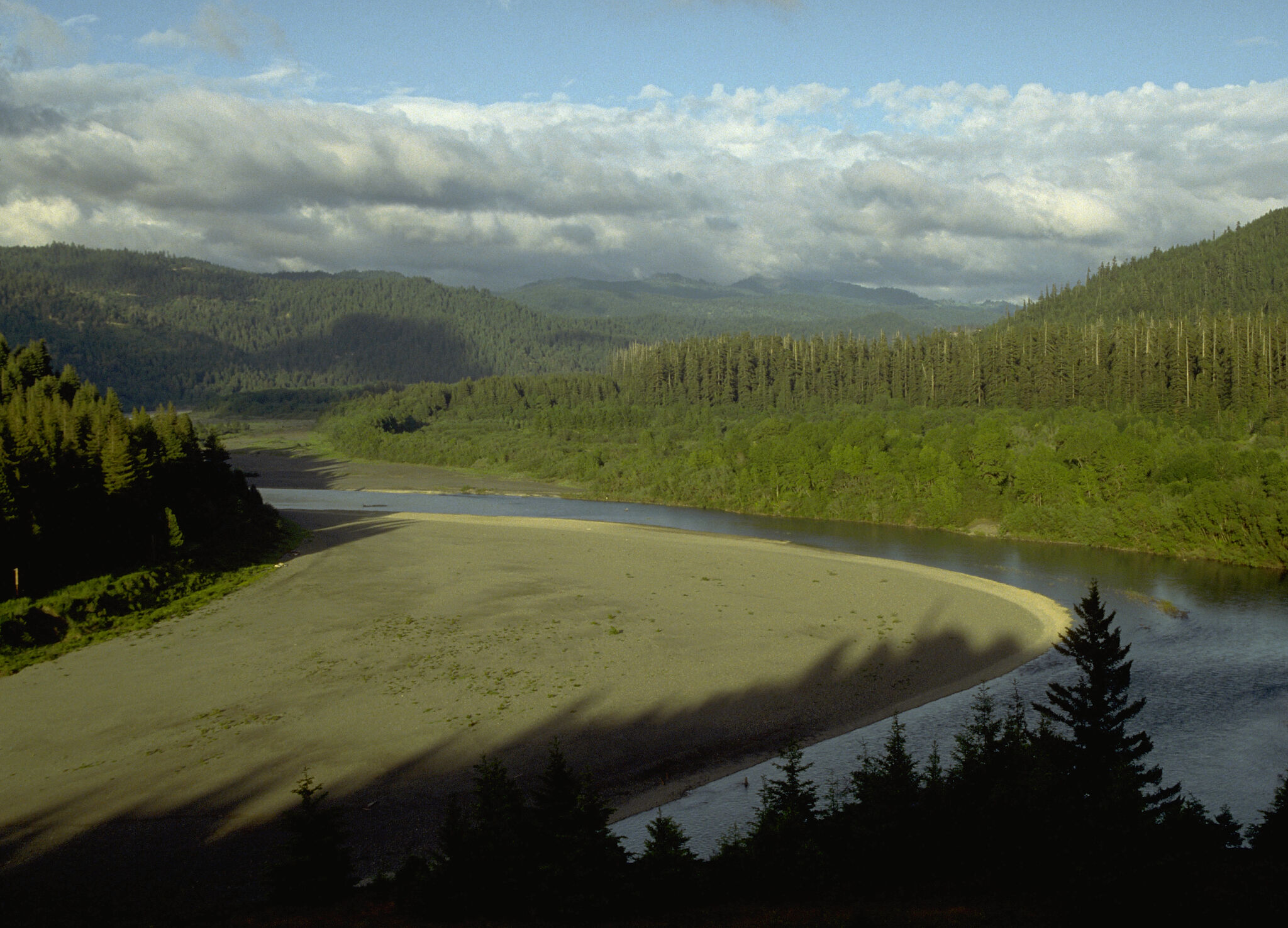 Humboldt Redwoods State Park