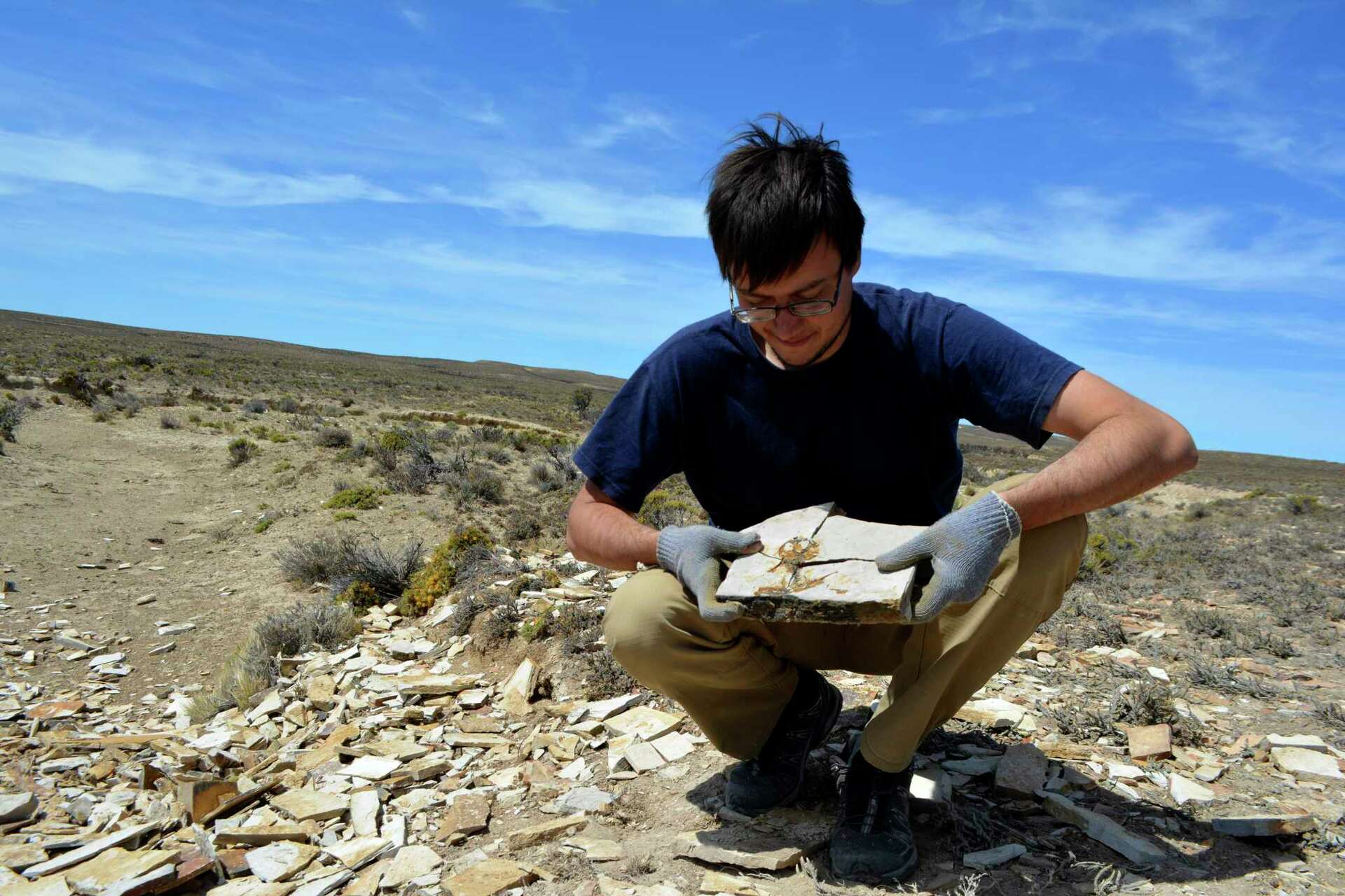 This Ancient Tadpole Fossil Is The Oldest Ever Discovered