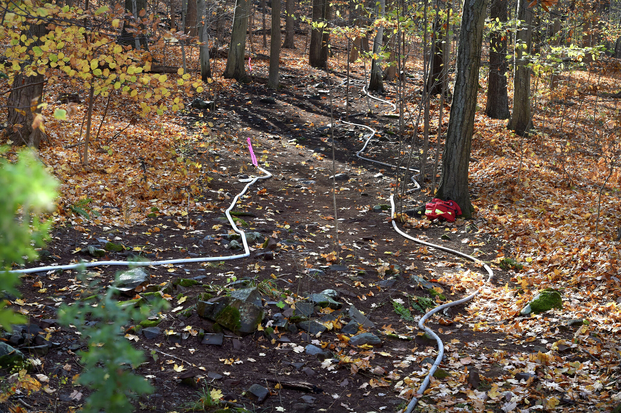 Red flag warning again issued in CT as brush fire danger high Friday