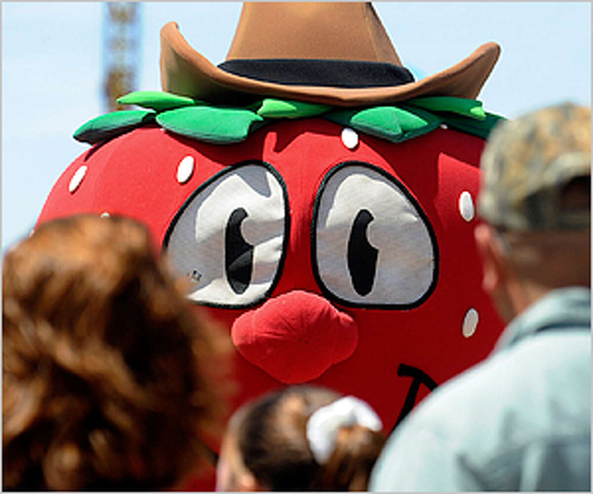 It's strawberry time in Poteet, y'all
