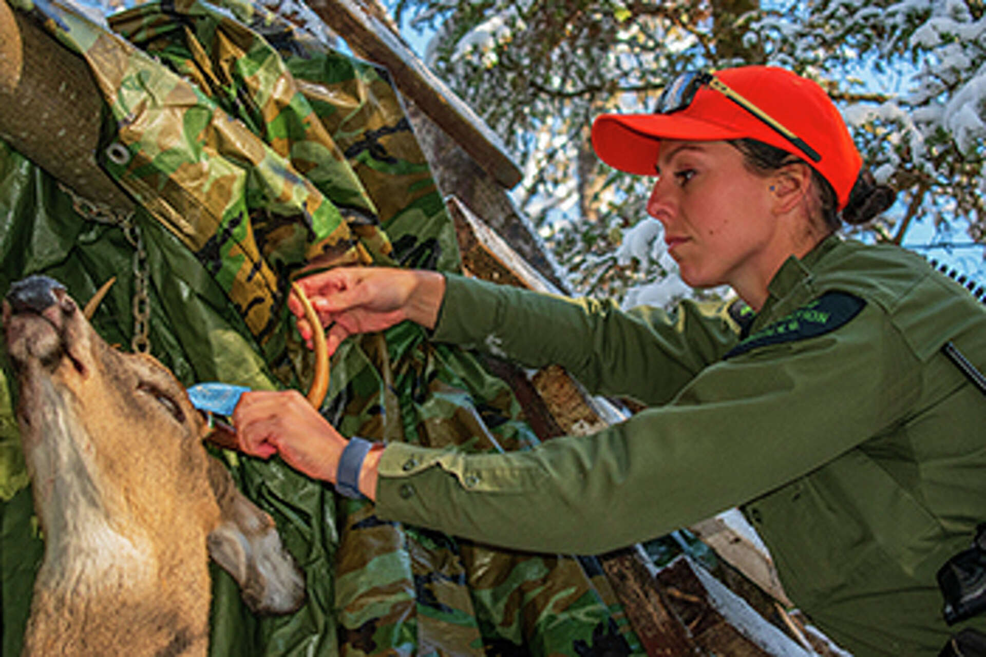 Michigan DNR offers hunting tips for rifle season