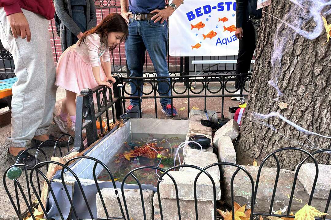 A Makeshift Goldfish Pond Beneath A Leaky Brooklyn Fire Hydrant Is ...