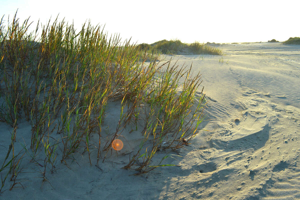 Sand dunes near San Luis Pass in October 2017