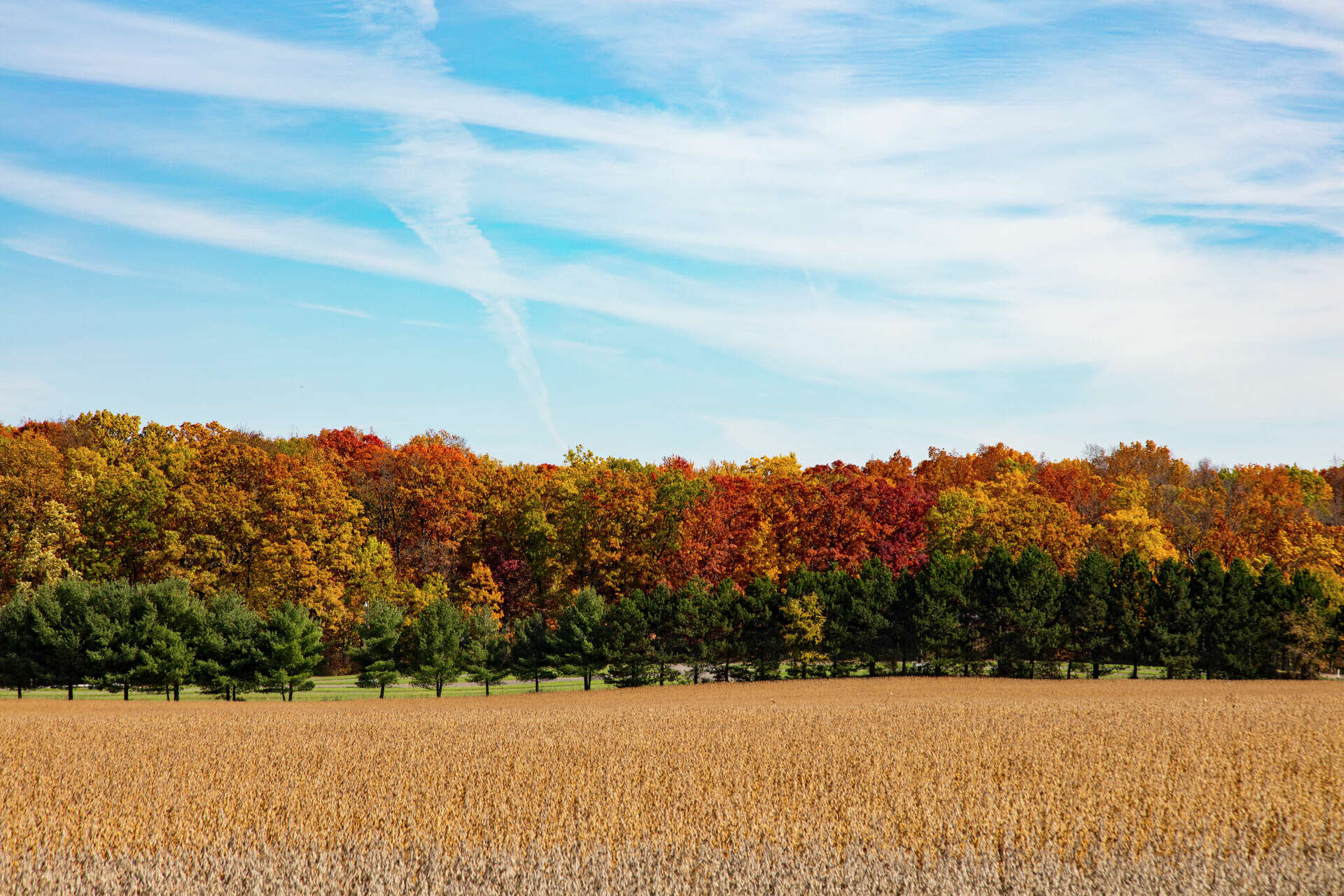 West Michigan sees driest October since 2005