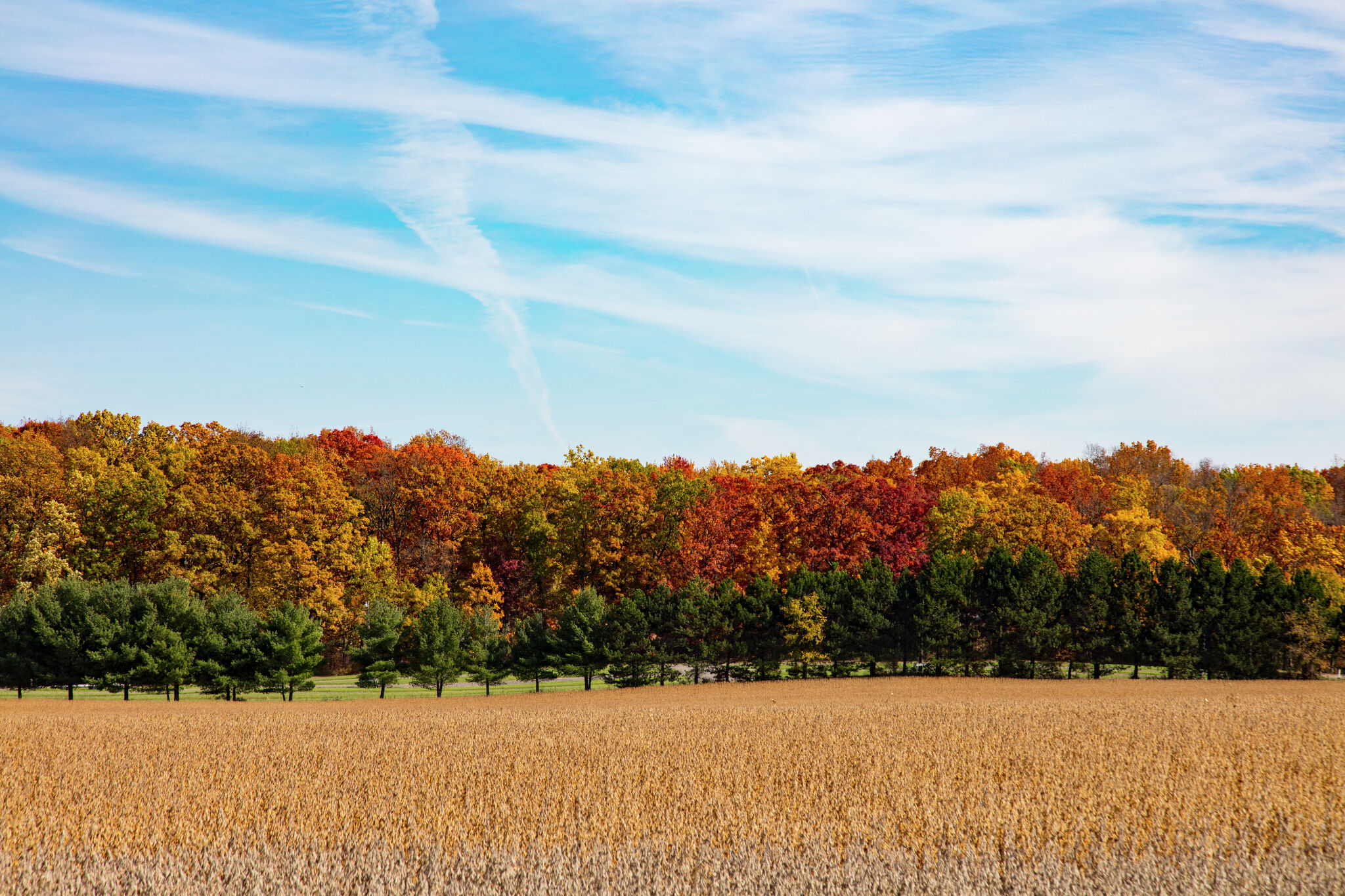 West Michigan sees driest October since 2005
