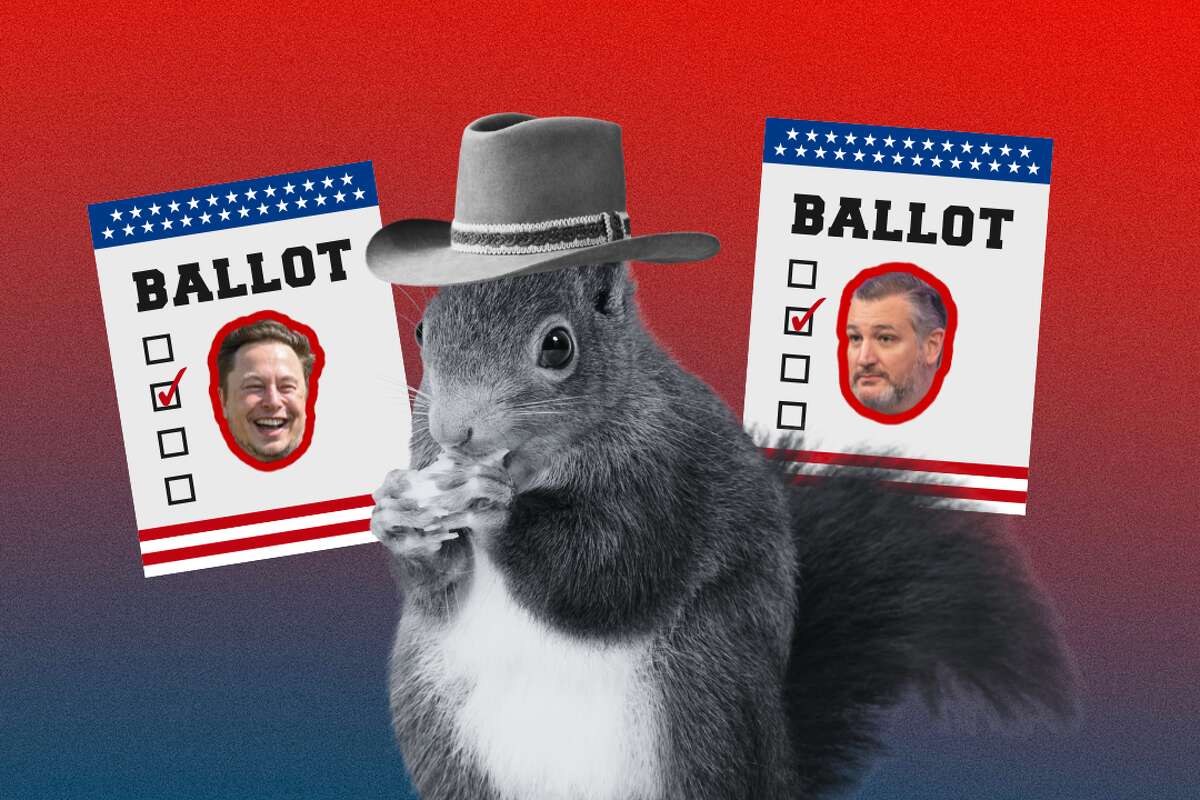 Elon Musk and Texas Republicans are speaking out against the death of the internet-famous Peanut the Squirrel after he was seized and euthanized by New York wildlife officials. 