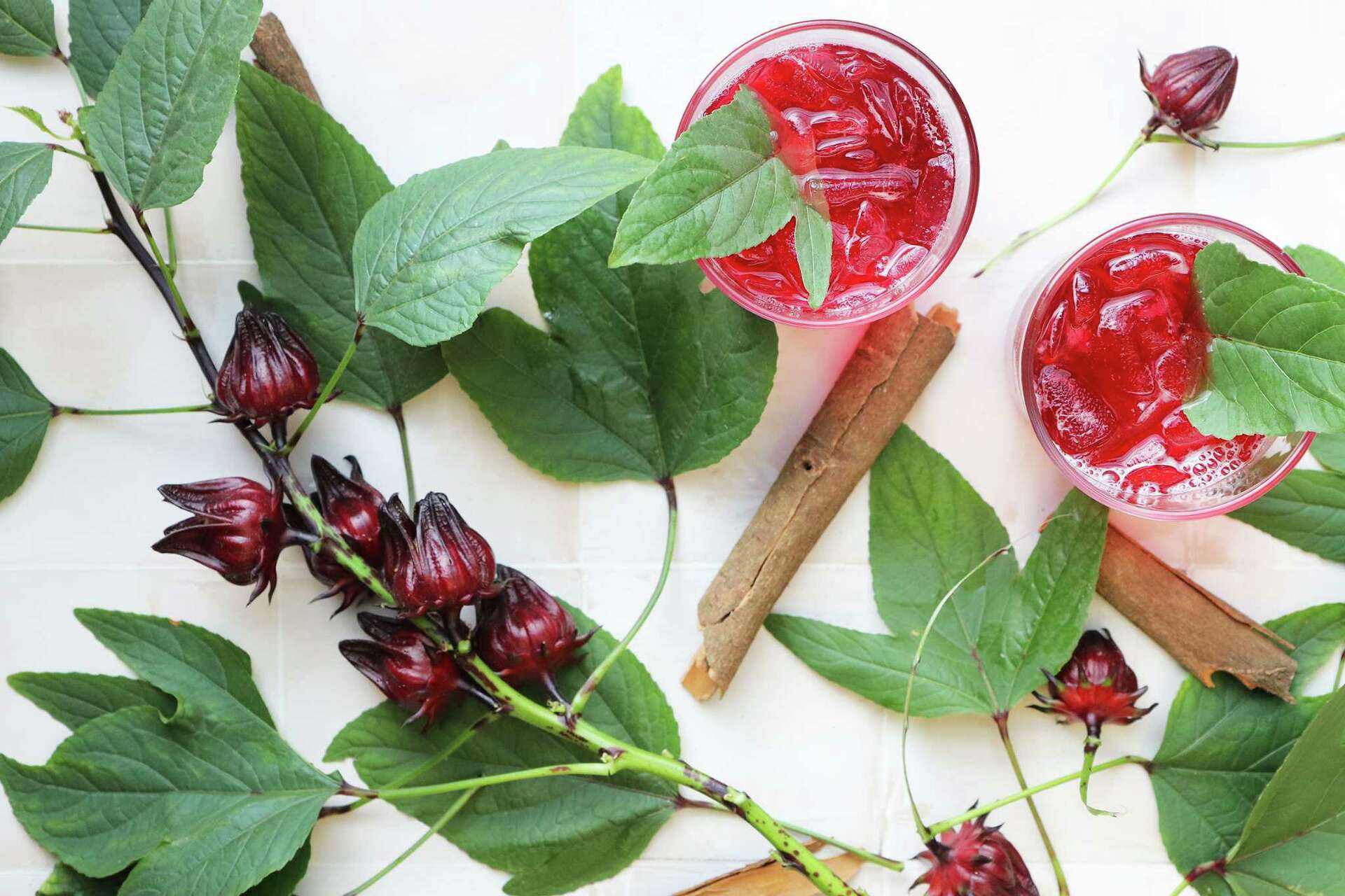 Roselle: A useful and beautiful addition to your garden or landscape |  Cultivating Cherokee County, image size:1920x1280