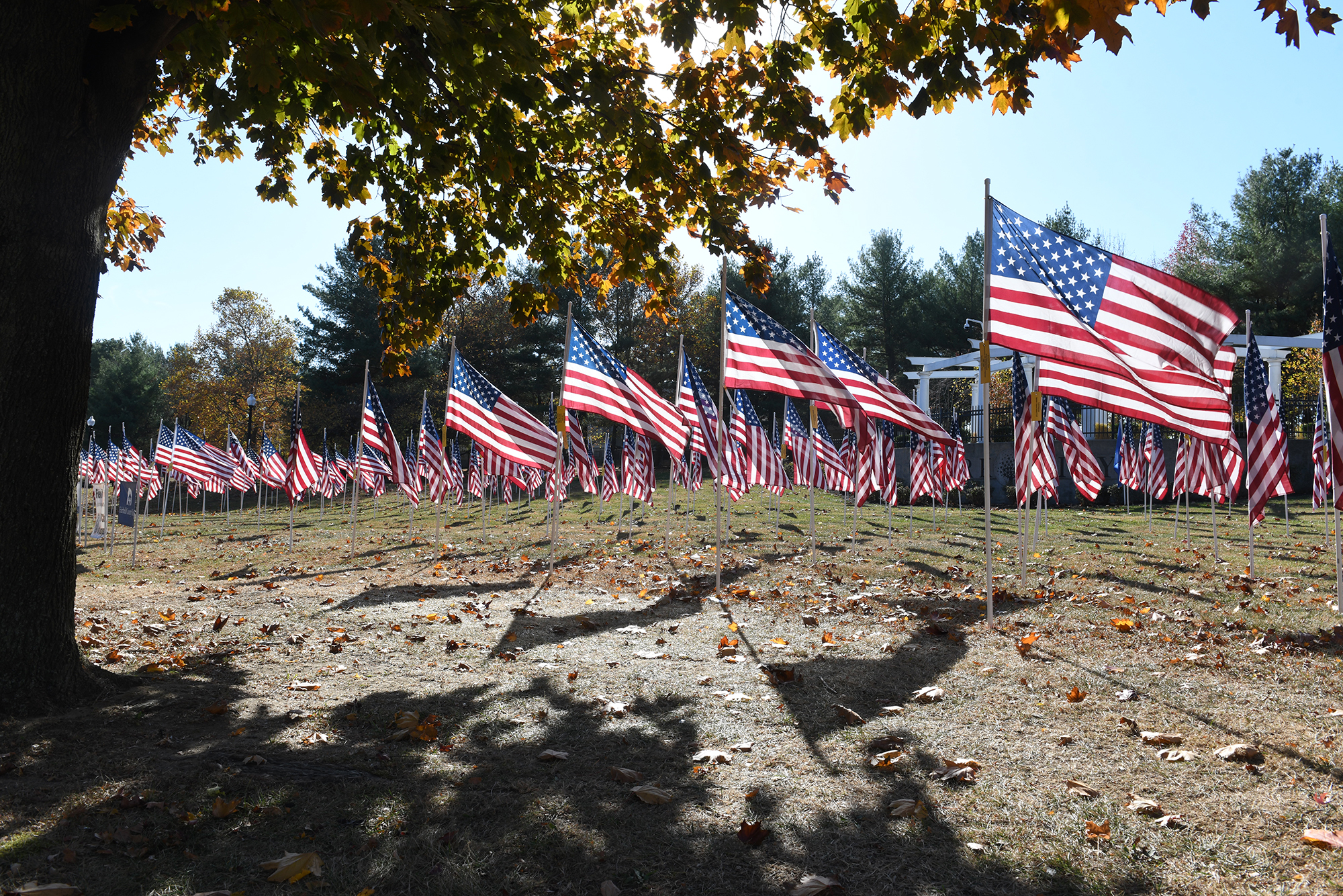 Why is veterans day important for kids