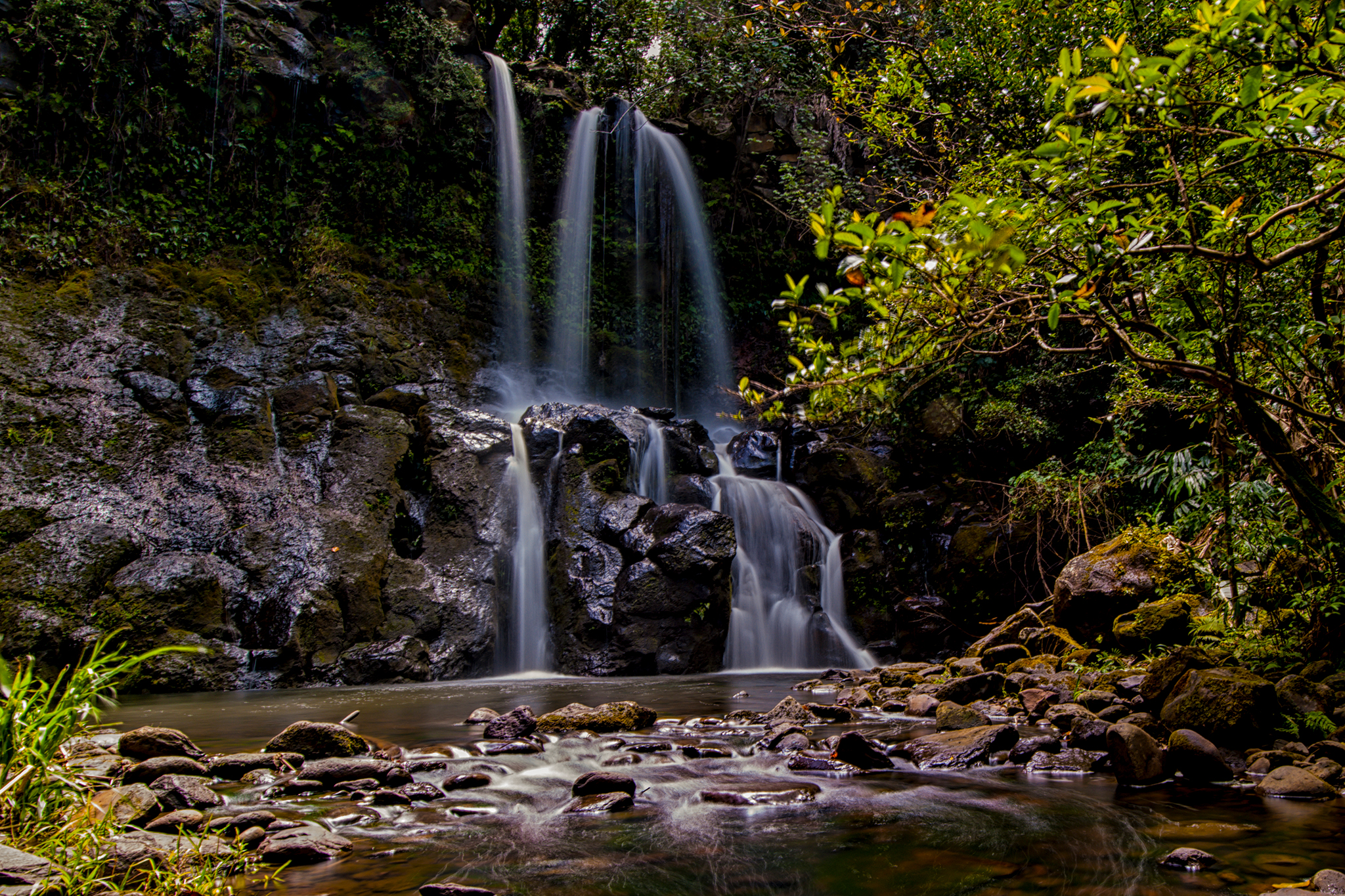 In Hawaii, a mysterious landowner emerges amid Burning Man-style festival  backlash