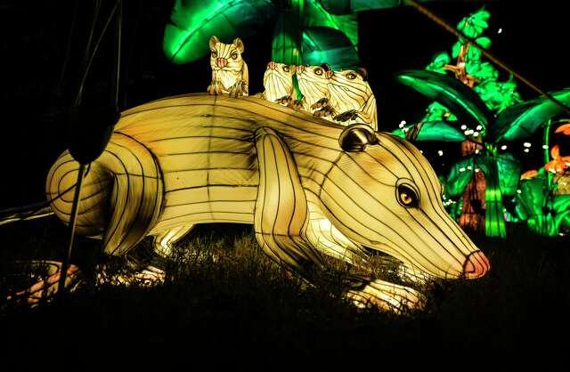 Radiant Nature Light Display Opens At Houston Botanic Garden