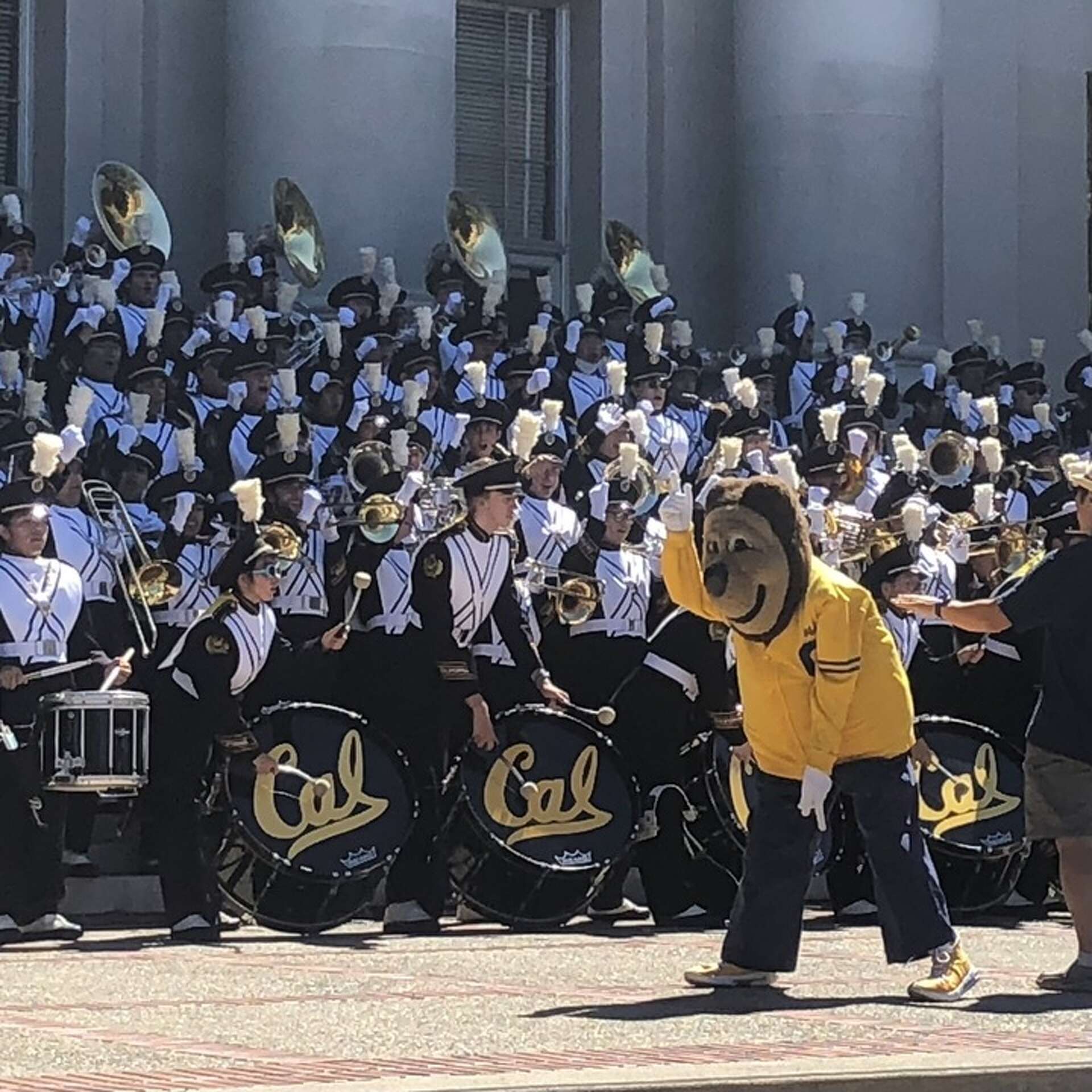 Football at Cal is a great escape, especially after this election