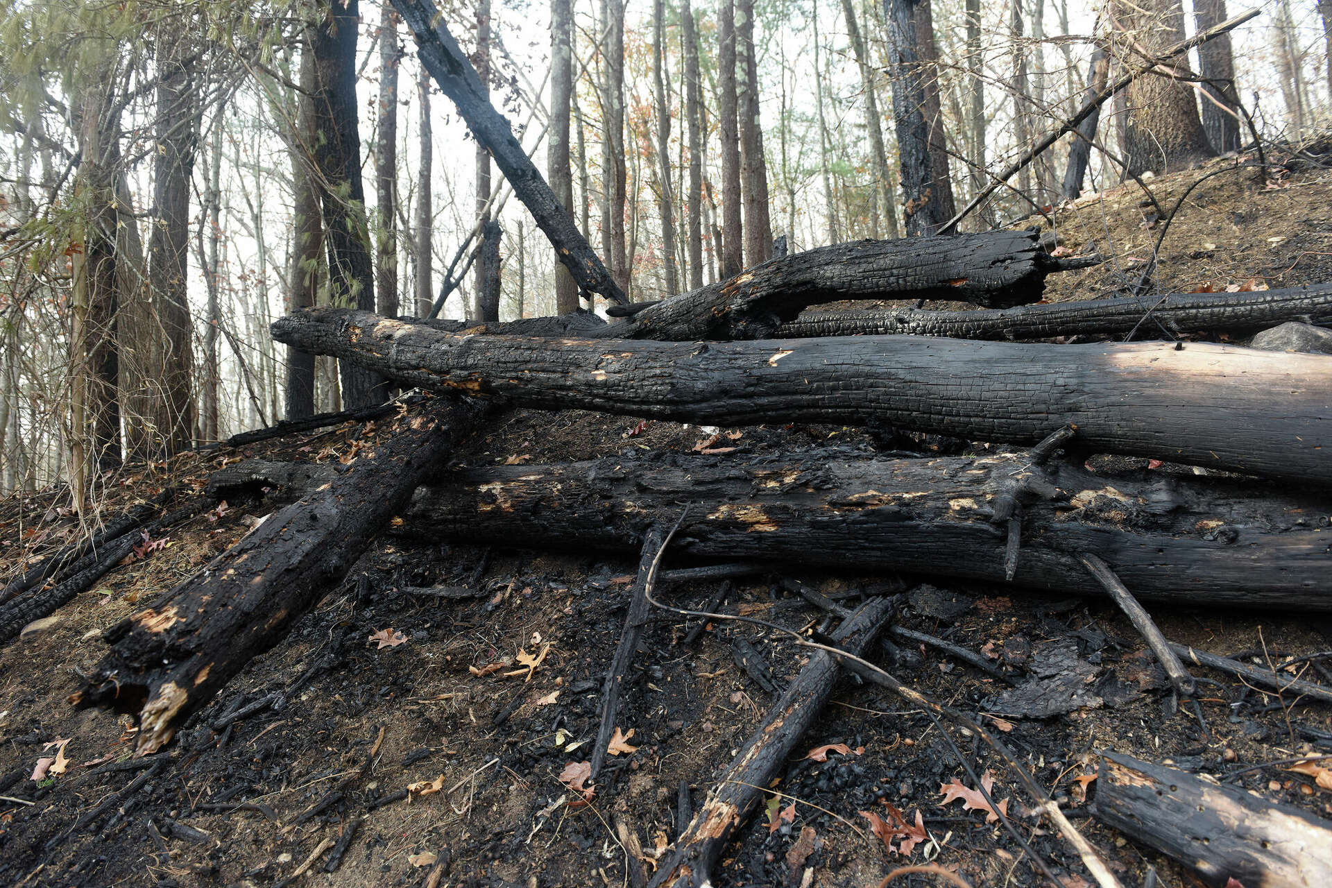 High fire danger in parts of Connecticut on Saturday, DEEP warns