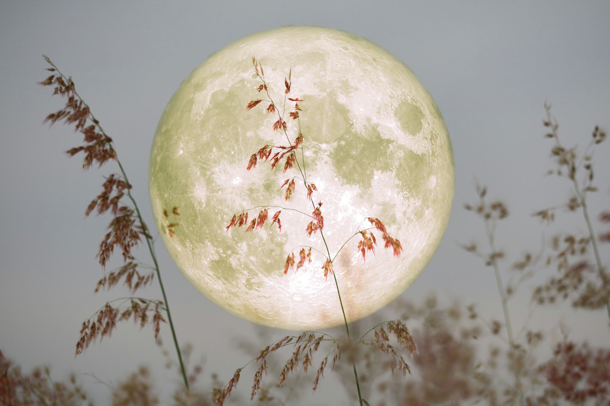 November's 'beaver moon' is 2024's last supermoon this Friday