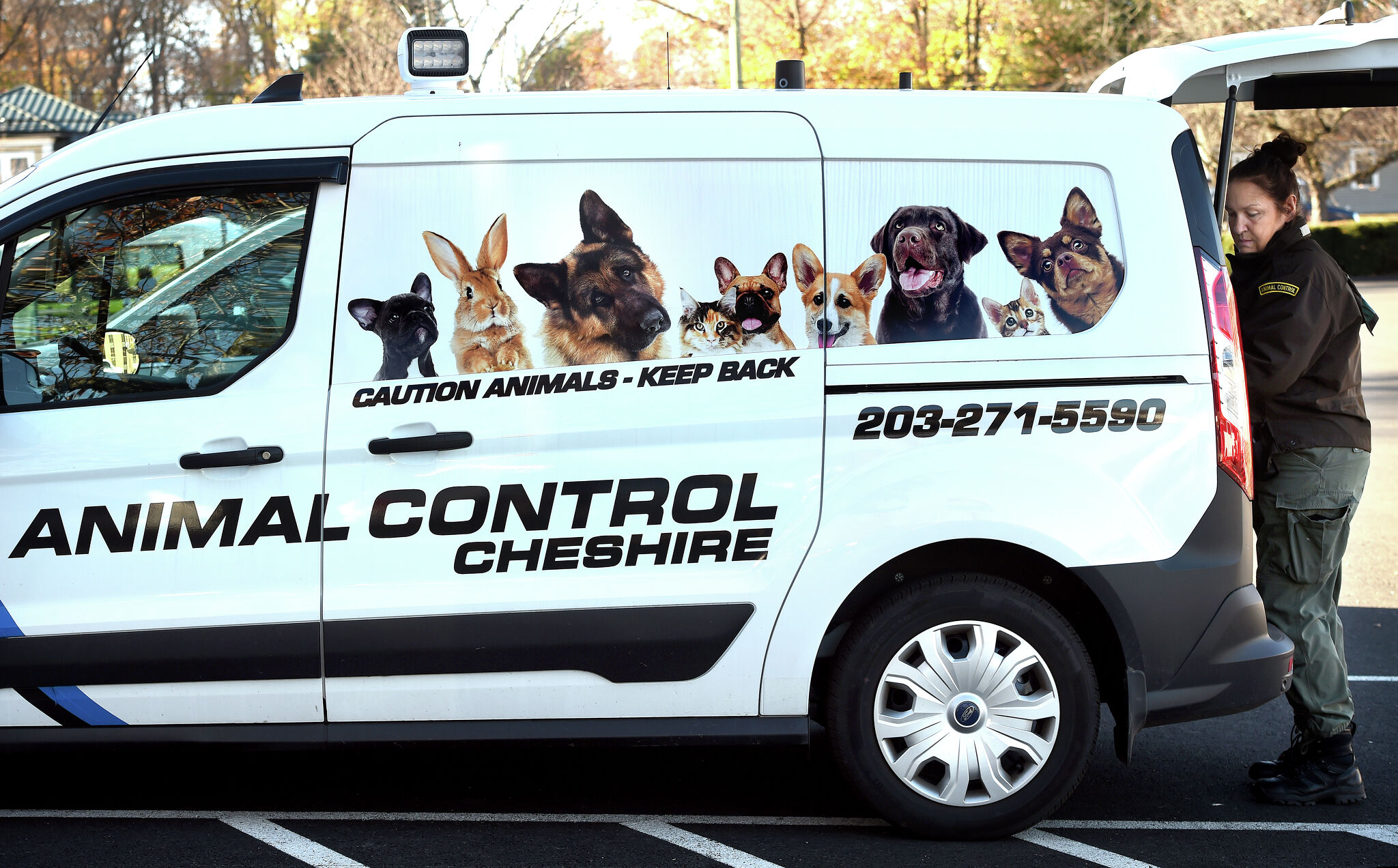 Animal Control Cheshire residents worried about 30 dogs stuck at shelter for 2 years