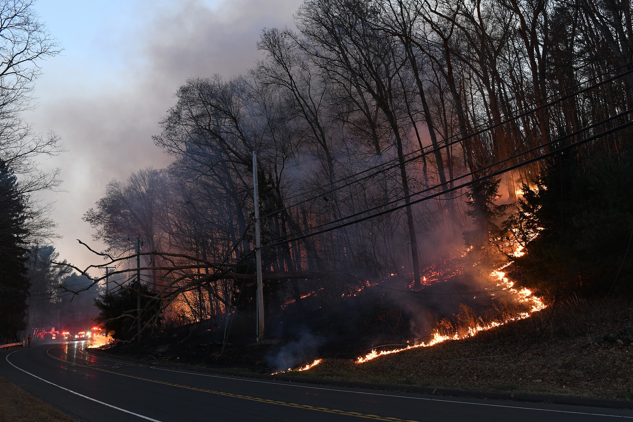 Brush fire danger 'high' Friday in Connecticut, officials say