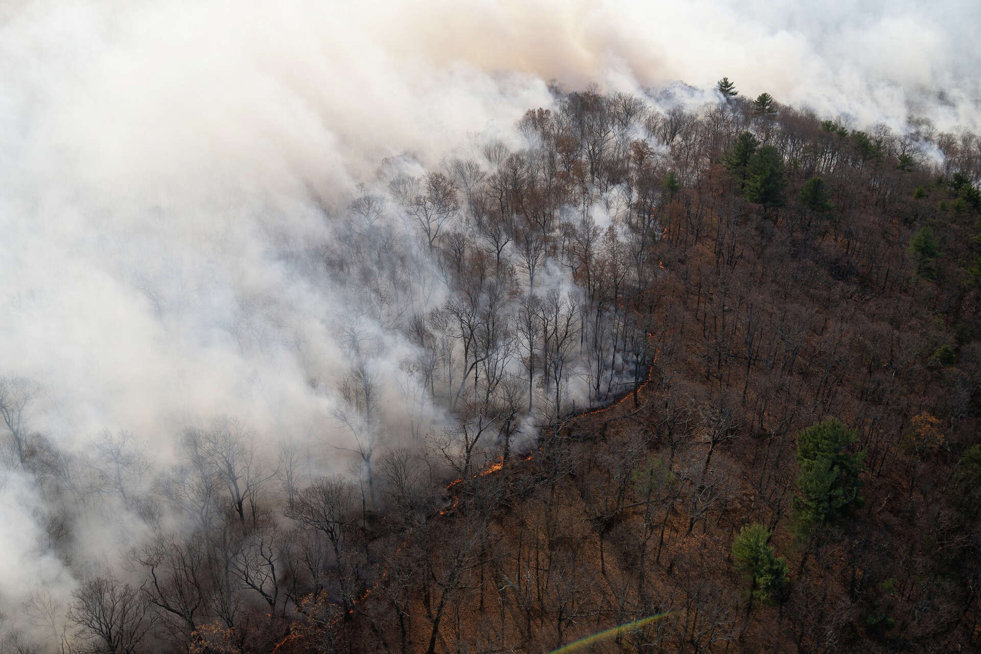 Jennings Creek Fire: Residents asked to evacuate after fire jumps line