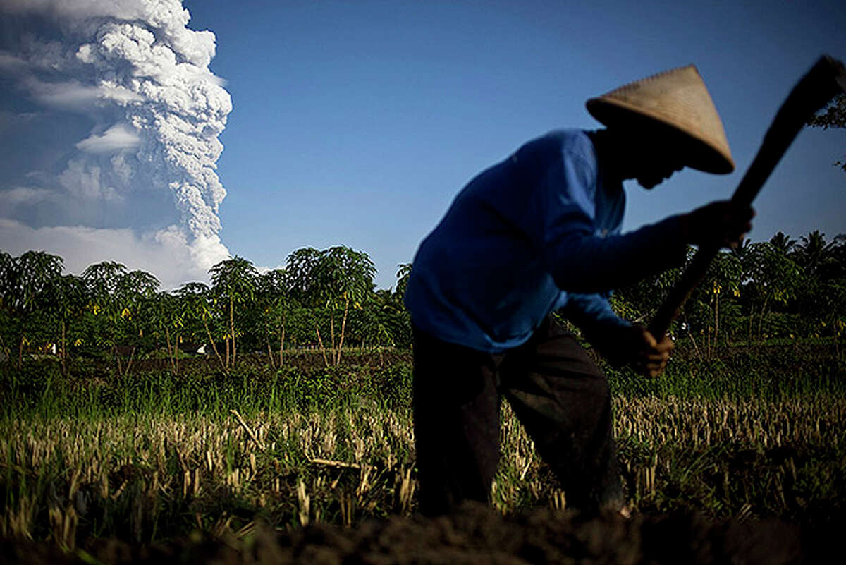 YOGYAKARTA, INDONESIA - NOVEMBER 04: A farmer stands in a rice field as volcanic material from Mount Merapi erupts, in Klaten, Central Java on November 4, 2010 near Yogyakarta, Indonesia. Over 70,000 people have now been evacuated with the danger zone being extended to over 15km as the volcano continues to spew ash and volcanic material. Three more people have been killed during the latest eruption taking the death toll to at least 44 people during the week of deadly eruptions.Ê (Photo by Ulet Ifansasti/Getty Images)