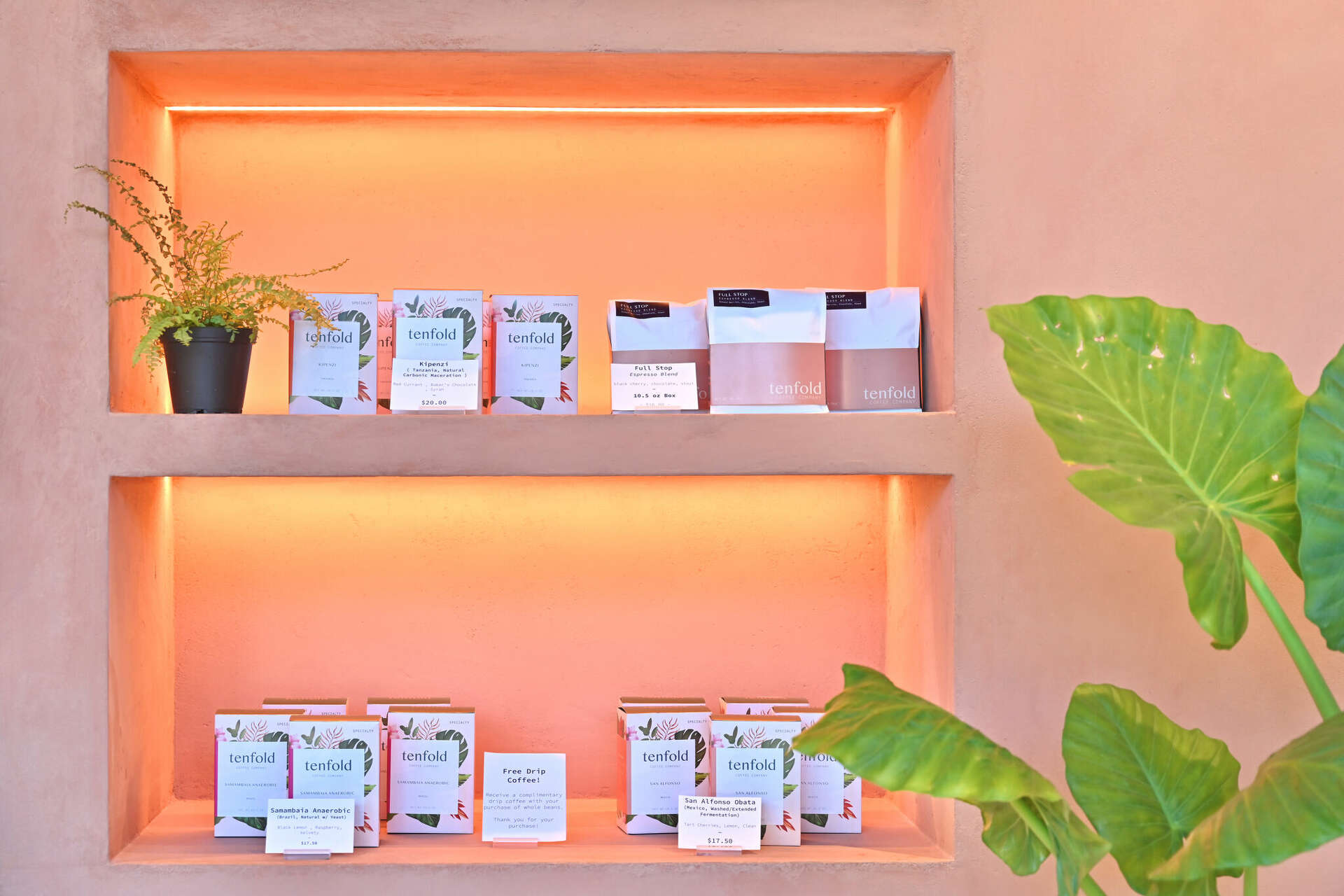 Tenfold Coffee opens second Houston cafe near Discovery Green