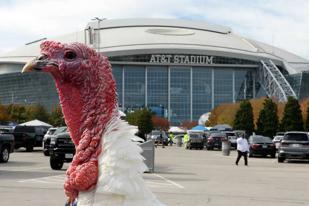 A turkey is seen outside AT&T Stadium before the Thanksgiving game between the Washington Commanders and the Dallas Cowboys on November 23, 2023 in Arlington, Texas. 