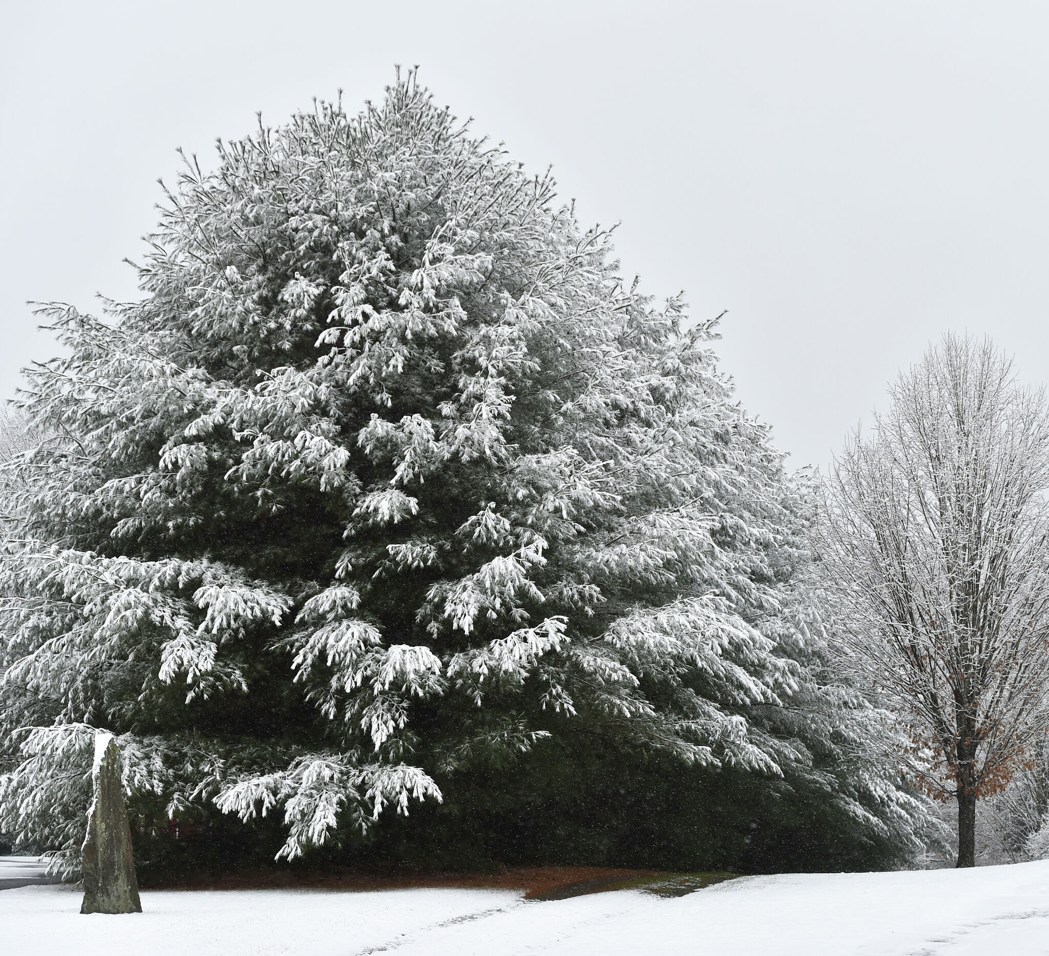 Uplift Milford Photos - le47kxn