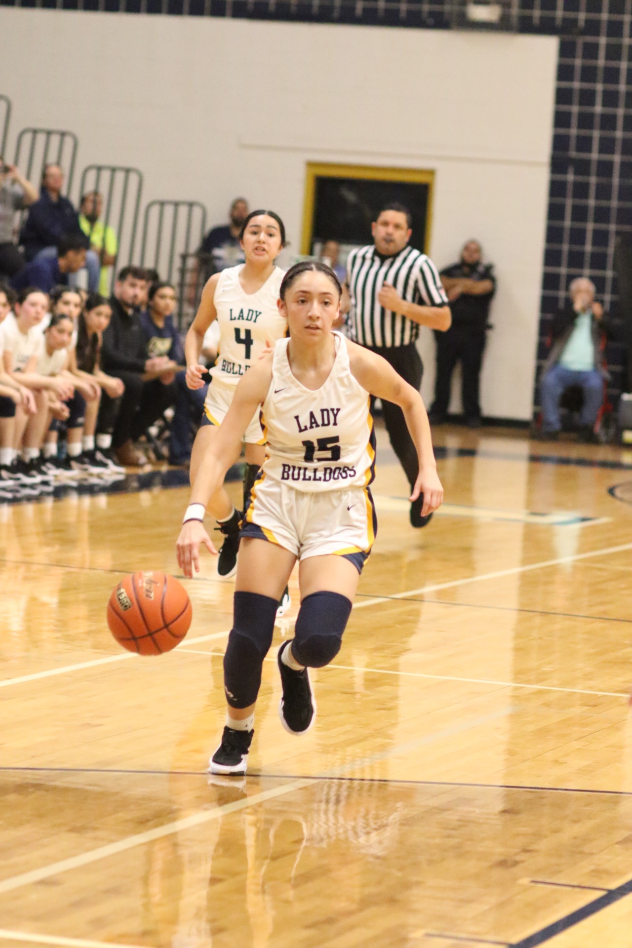 Laredo Morning Times girls' basketball standouts