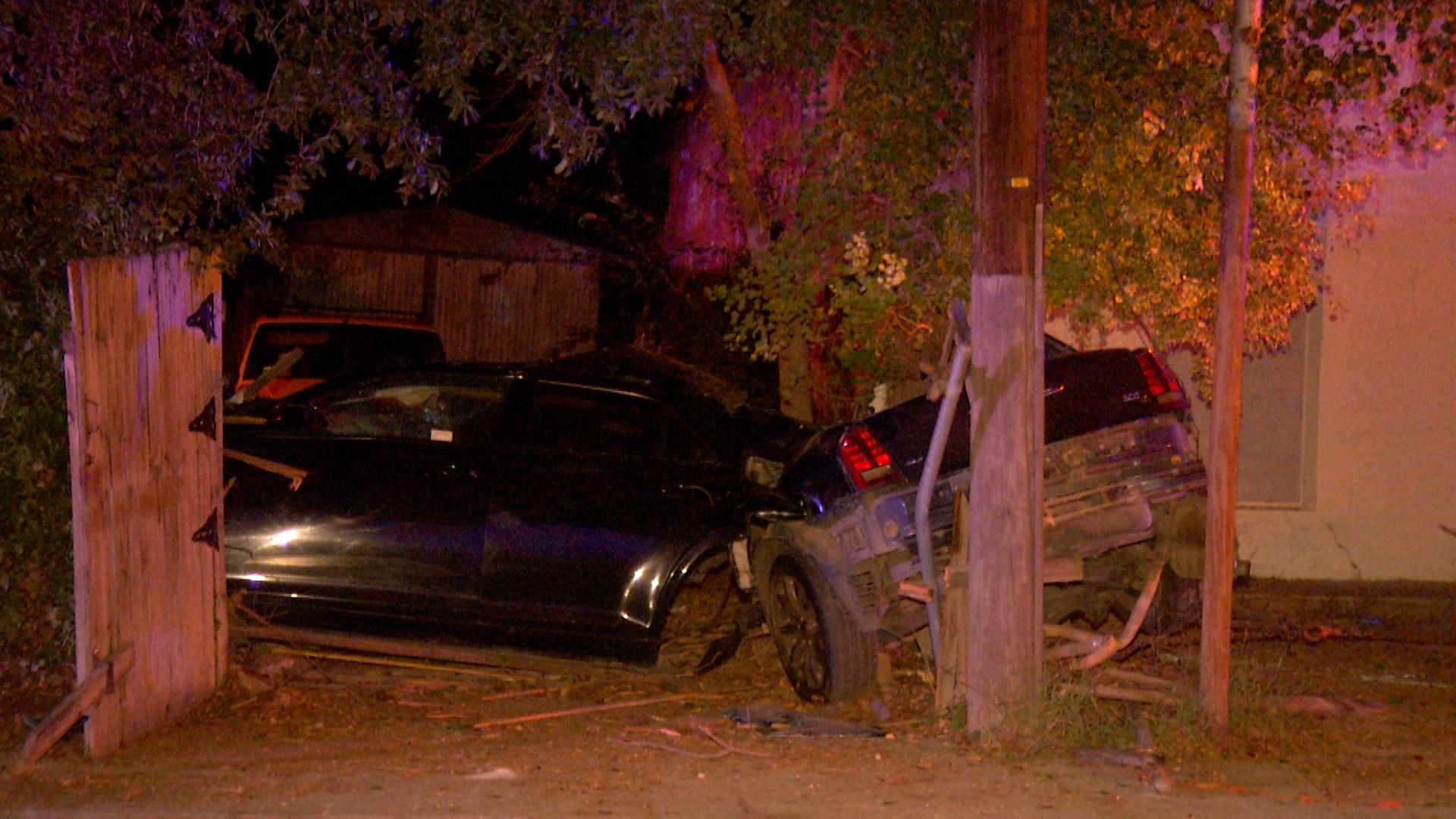 Man's car split in half in a crash with a tree