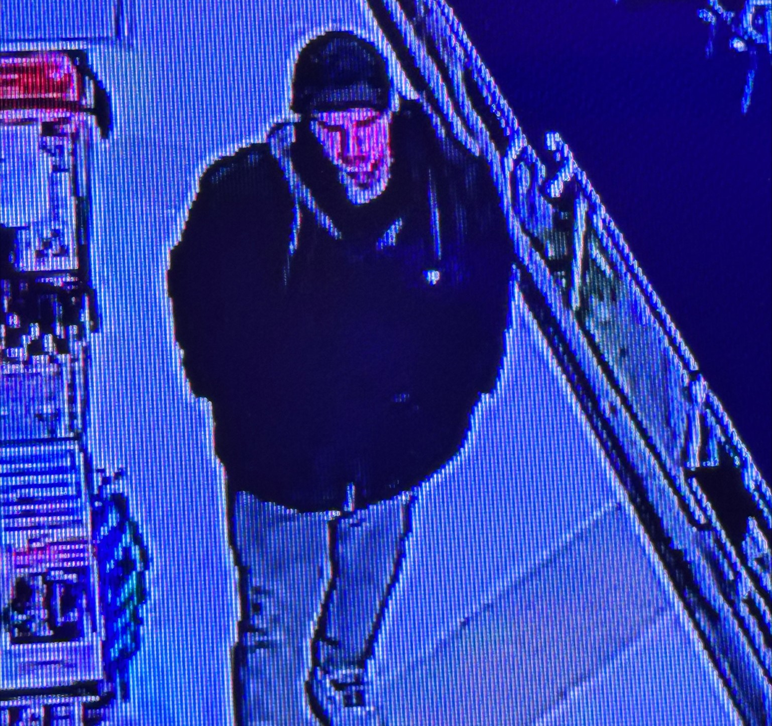 Mecosta County Michigan deputies seek suspect in Big Rapids Town theft