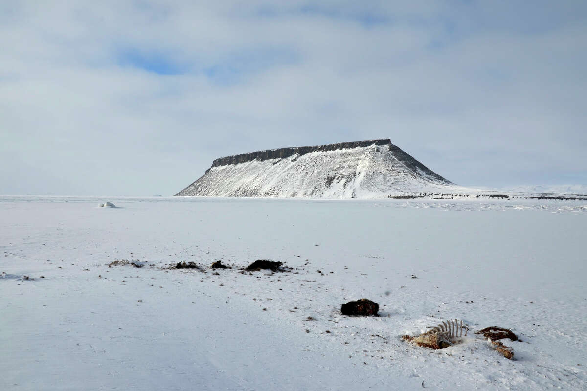 Decades after it was abandoned, numerous scientists have come forward citing the dangers that Camp Century poses to the Greenland region’s aquatic ecosystem and multibillion-dollar resources.